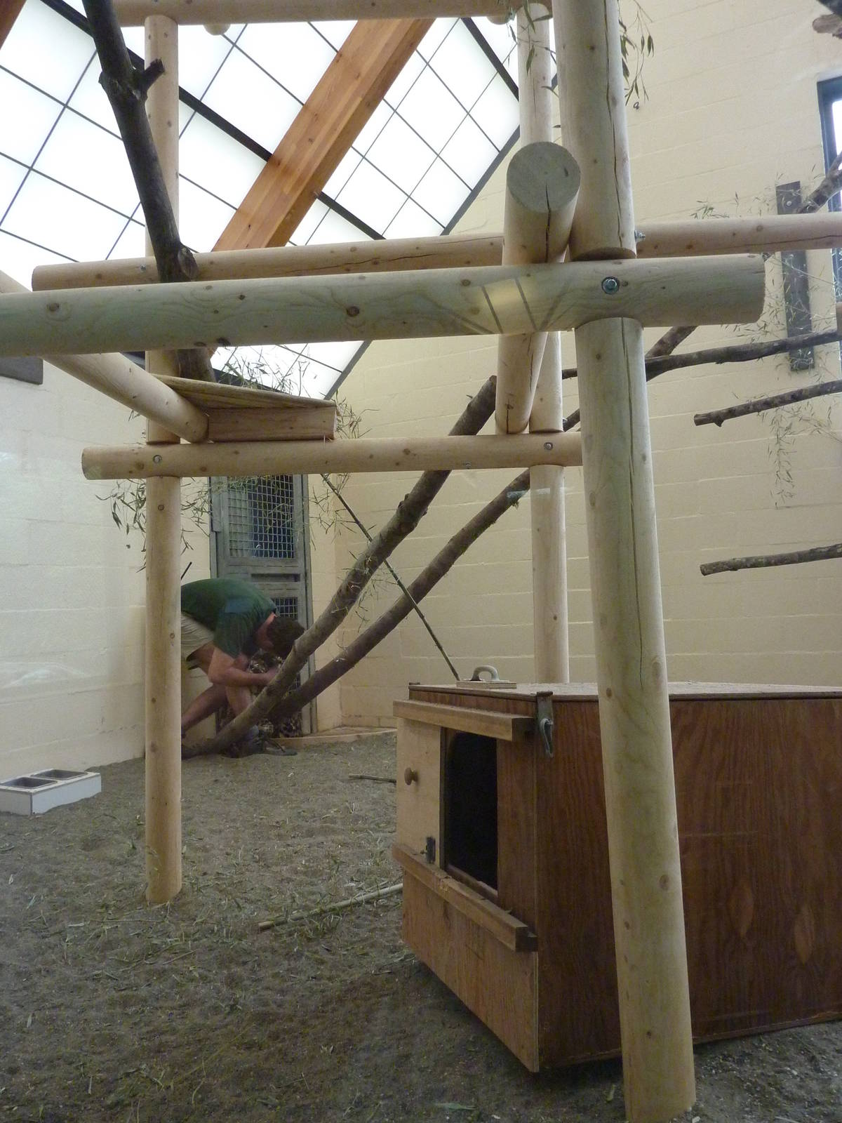 Asian Forest Sanctuary - Clouded Leopard Temporary Exhibit