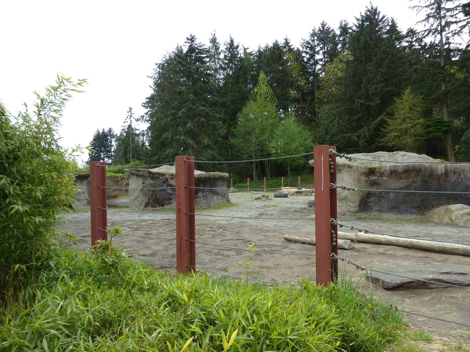 Asian Forest Sanctuary - Elephant Enclosure
