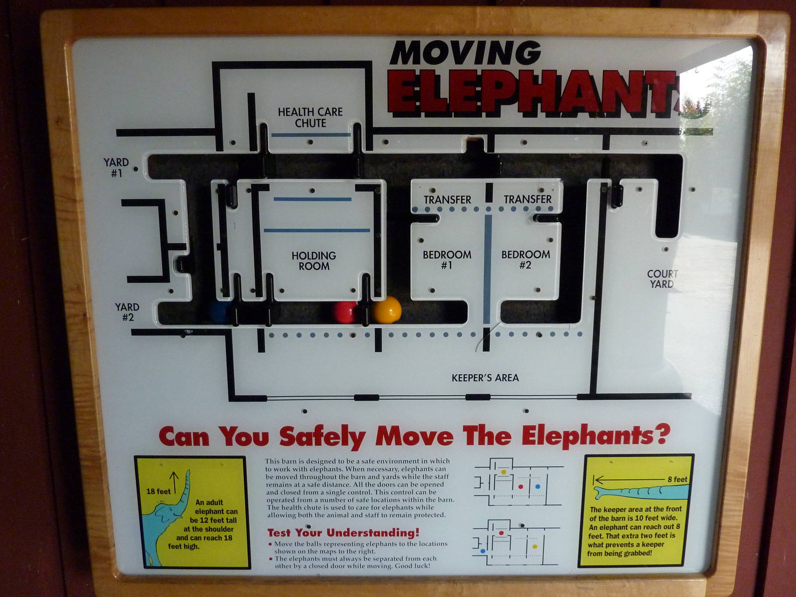 Asian Forest Sanctuary - Elephant Exhibit Game