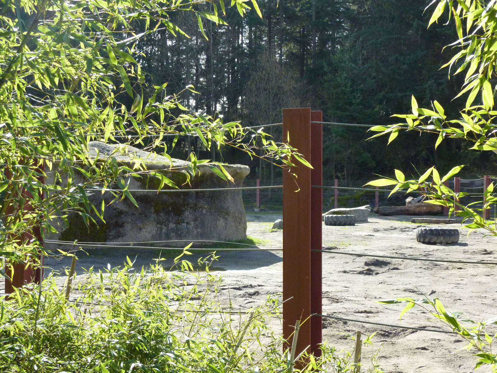 Asian Forest Sanctuary - Elephant Exhibit