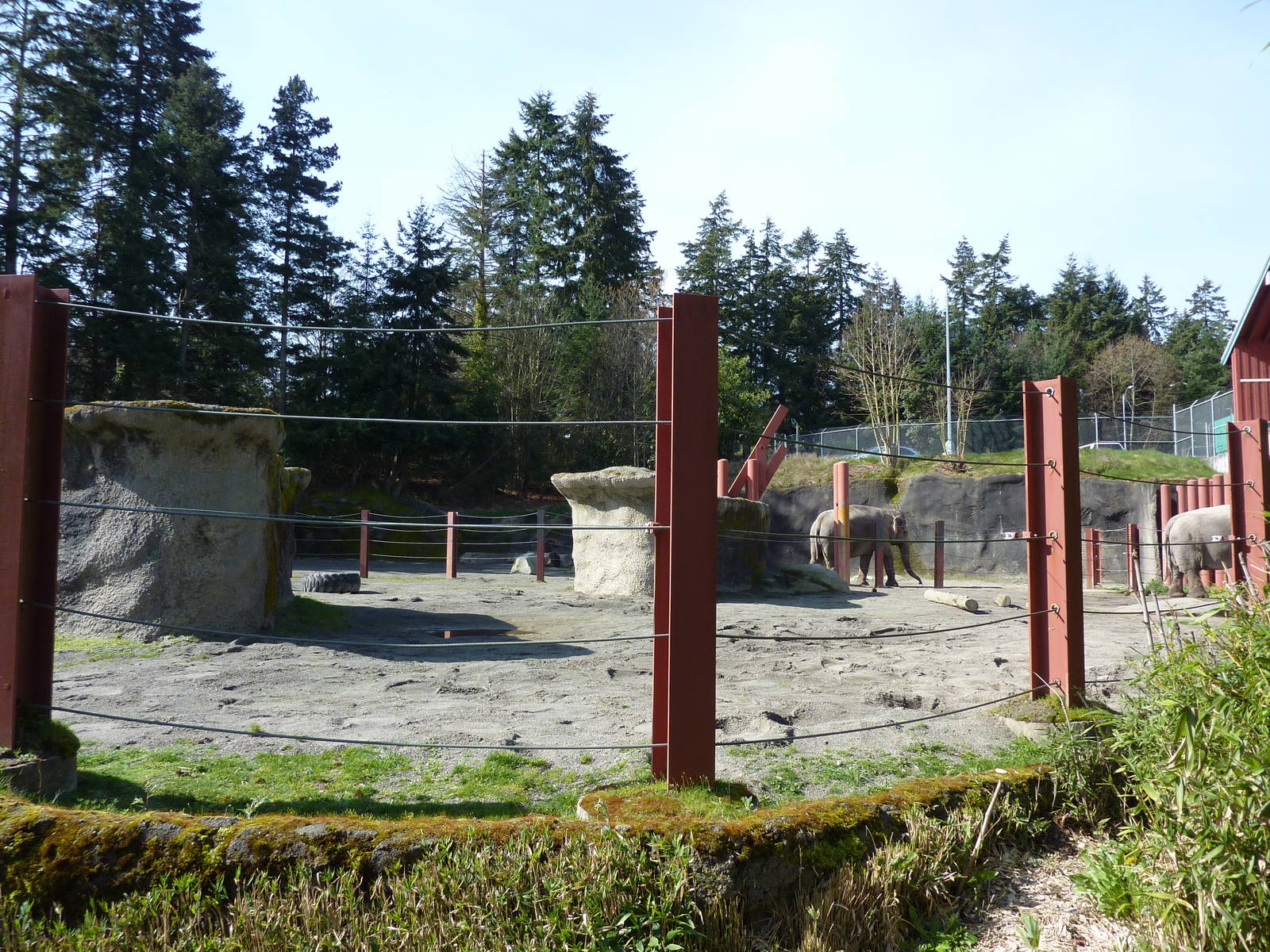 Asian Forest Sanctuary - Elephant Exhibit