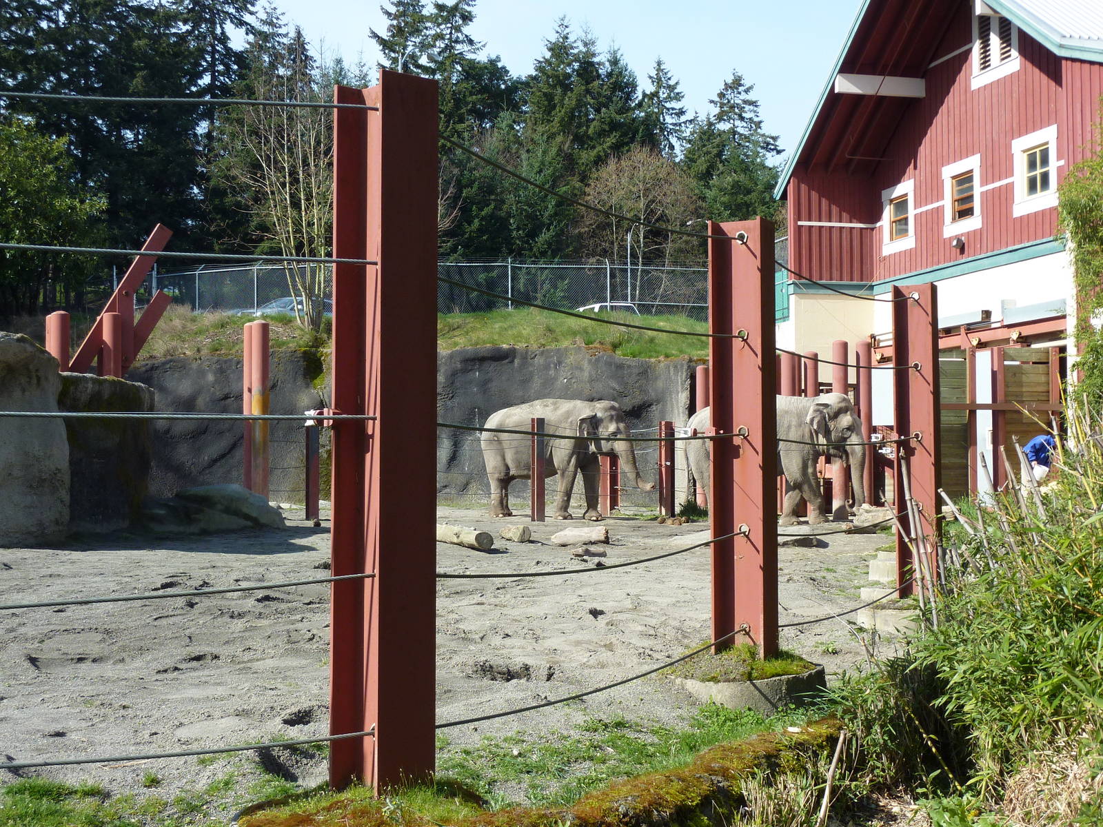 Asian Forest Sanctuary - Elephant Exhibit