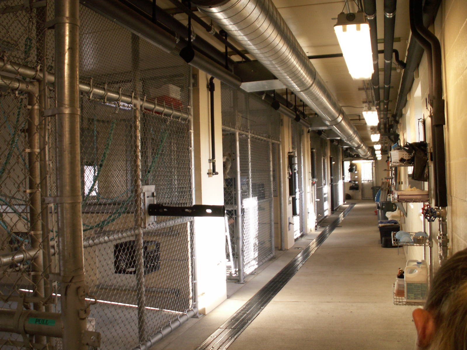 asian forest sanctuary - holding area