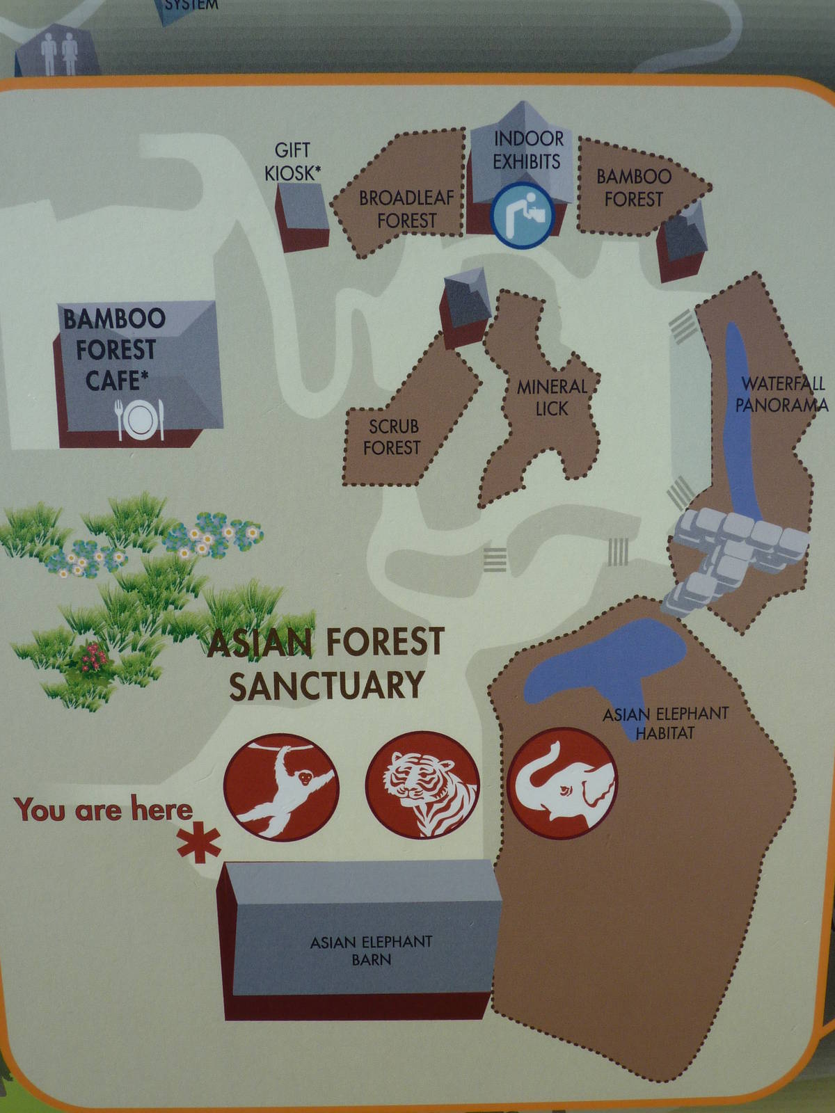 Asian Forest Sanctuary - Map
