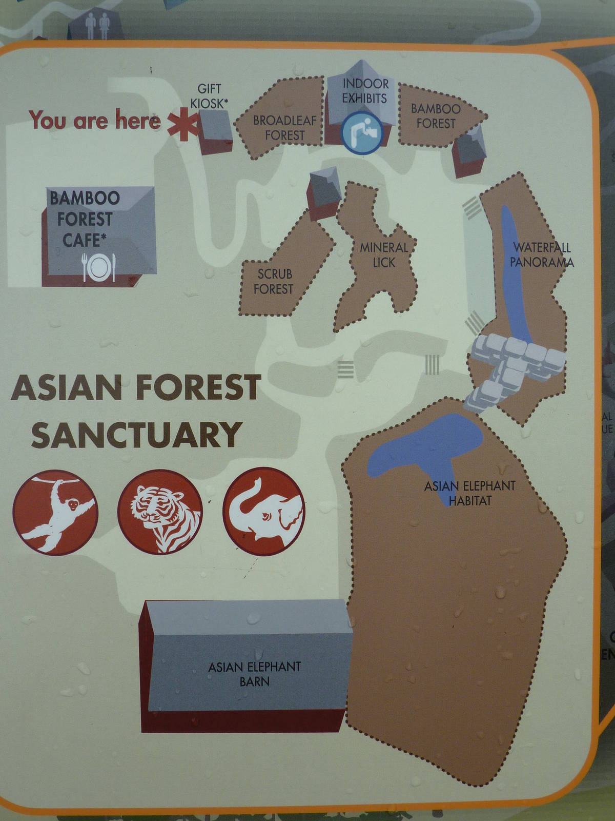Asian Forest Sanctuary - Map