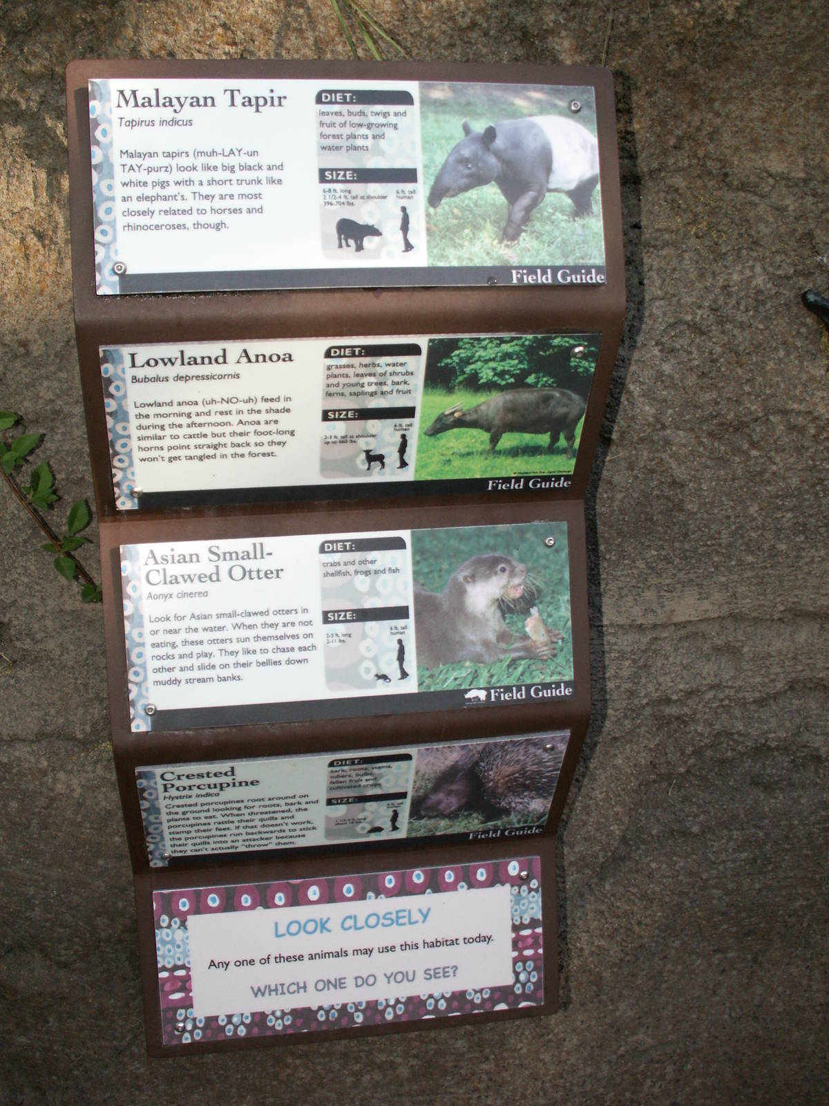 asian forest sanctuary - mixed exhibits sign