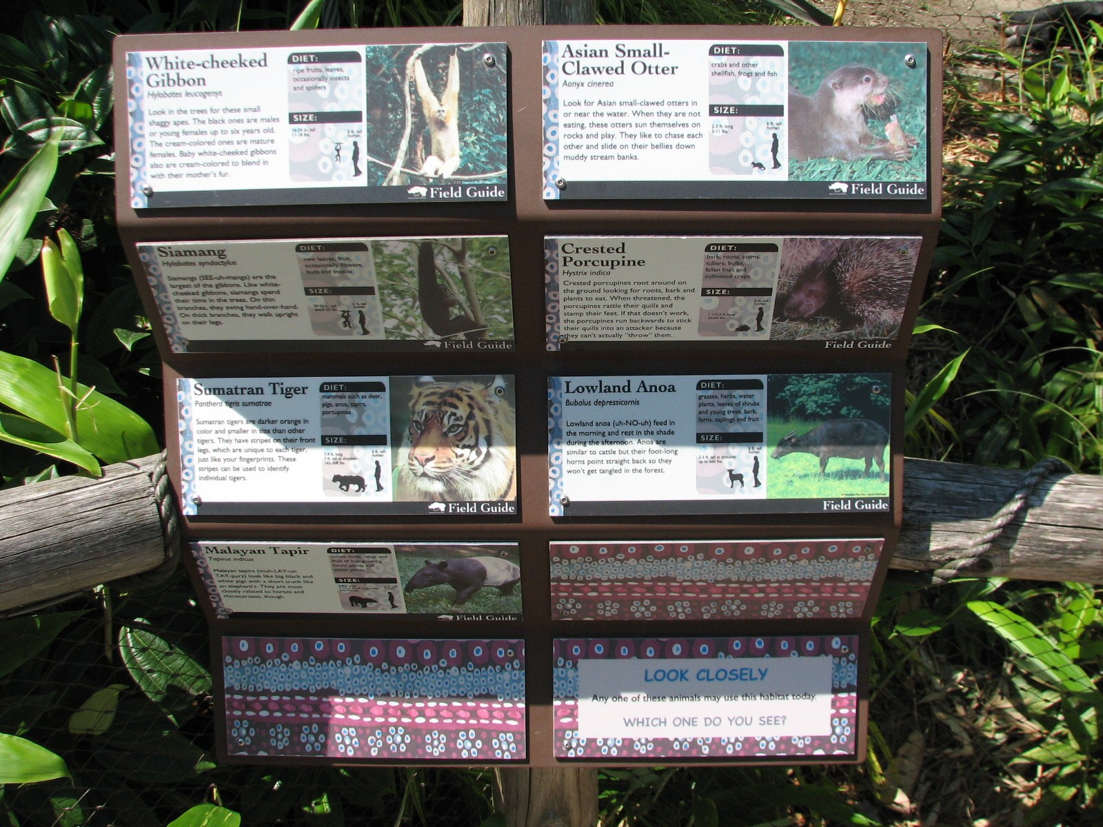 Asian Forest Sanctuary - Rotating Exhibit Species Signs
