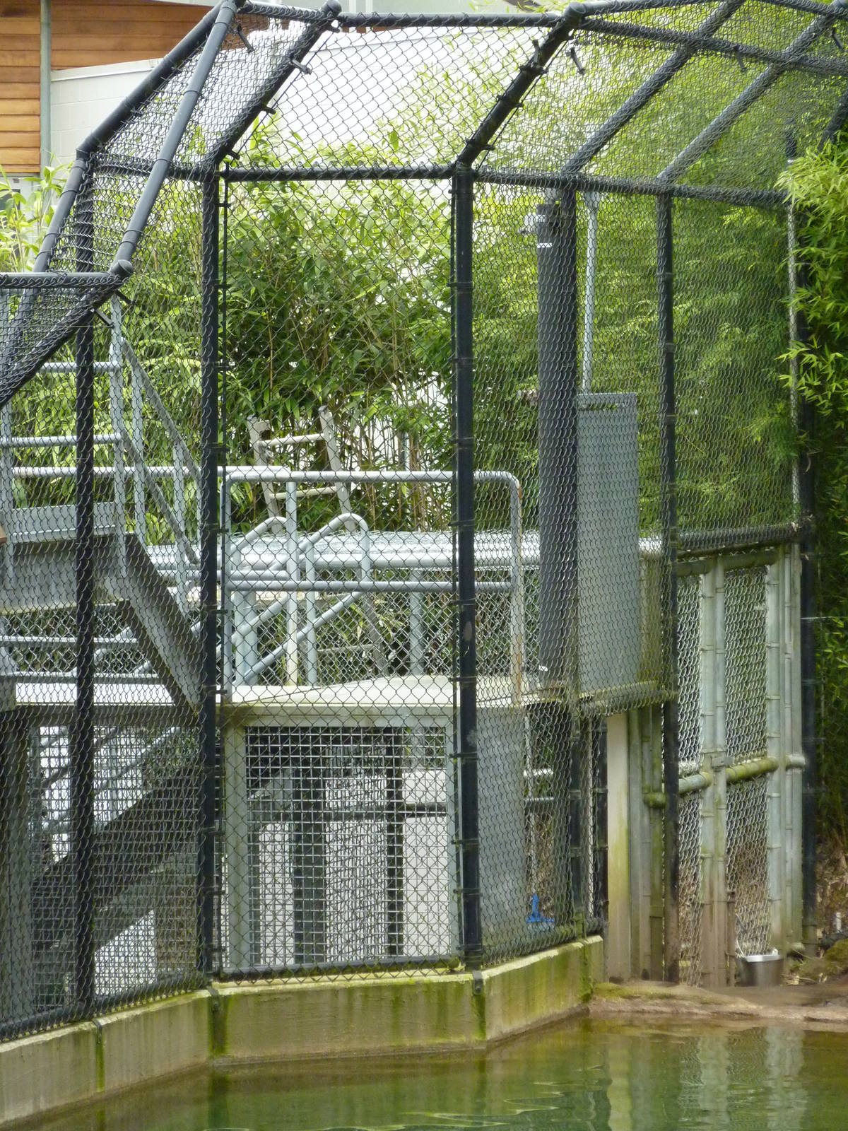Asian Forest Sanctuary - Rotation Exhibit Holding Area