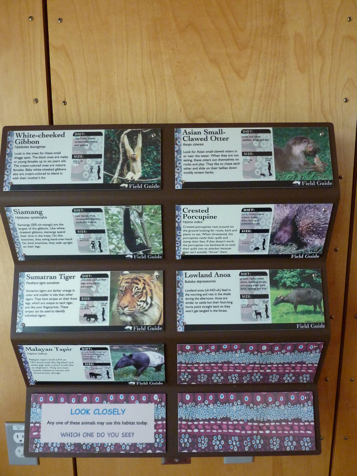 Asian Forest Sanctuary - Rotation Exhibit Signage