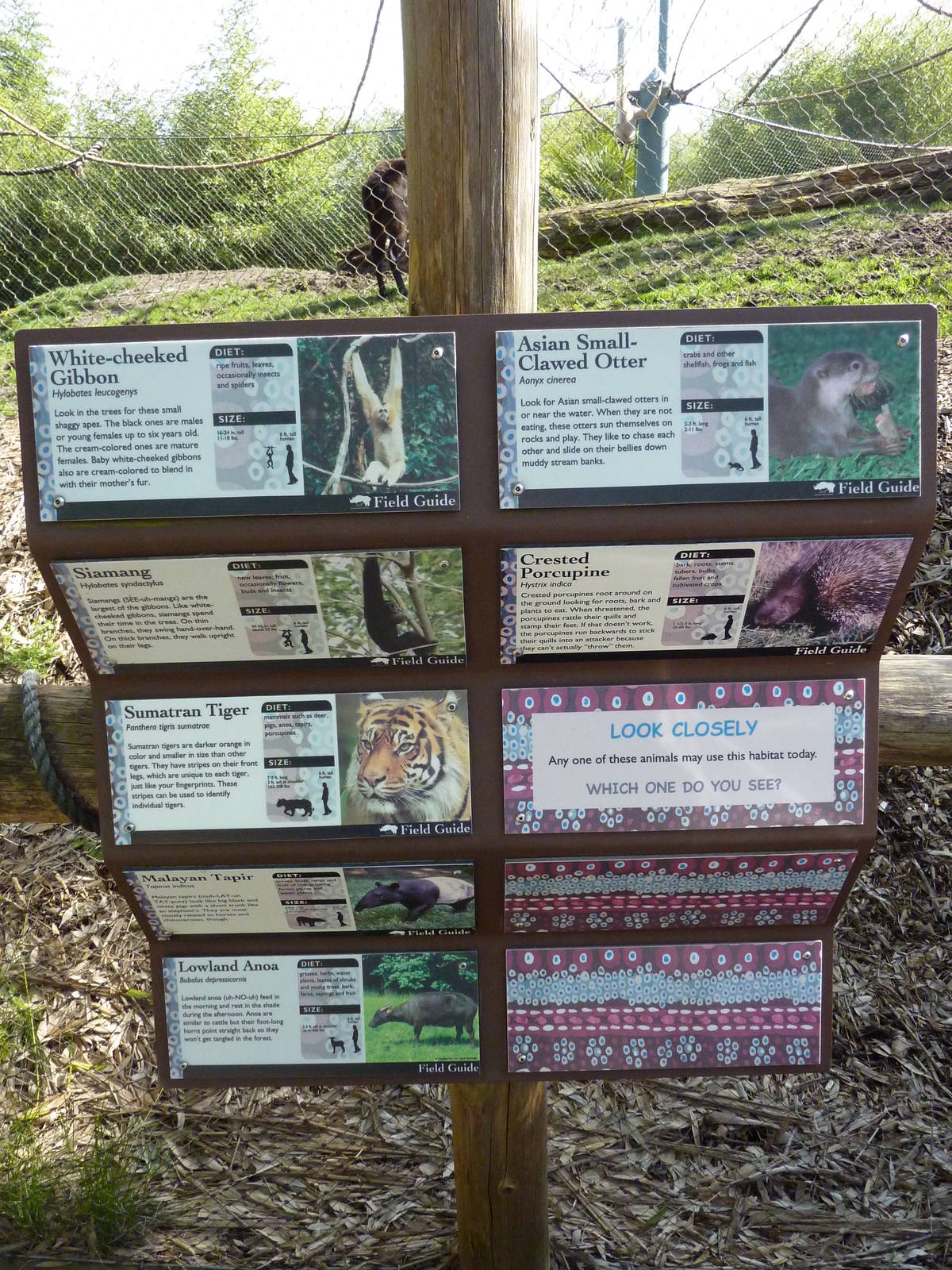 Asian Forest Sanctuary - Rotation Exhibit Signage