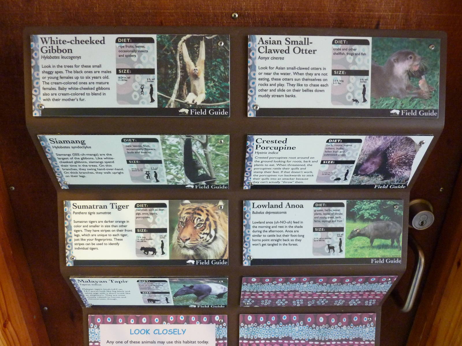 Asian Forest Sanctuary - Rotation Exhibit Signage