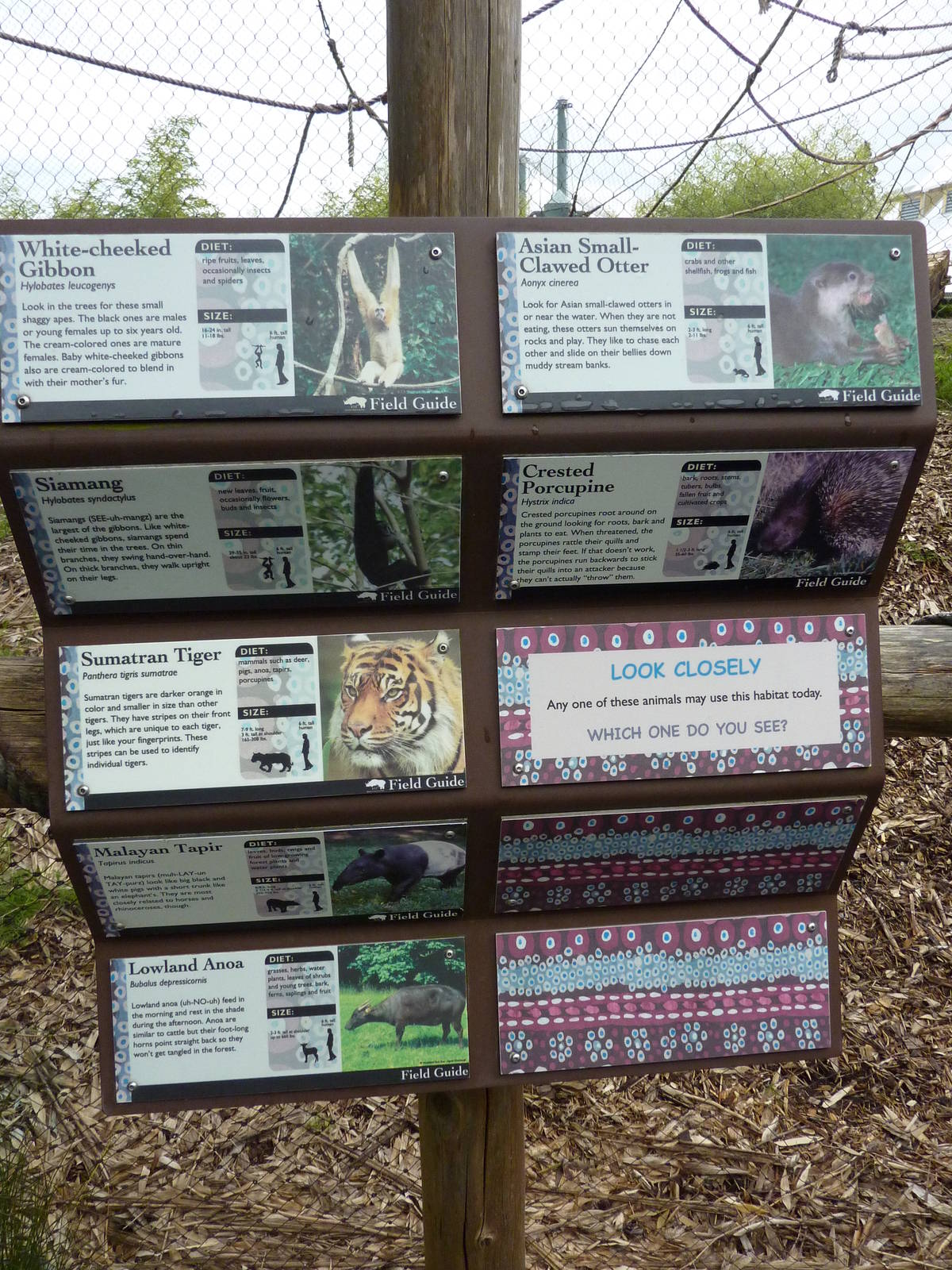 Asian Forest Sanctuary - Rotation Exhibit Signage