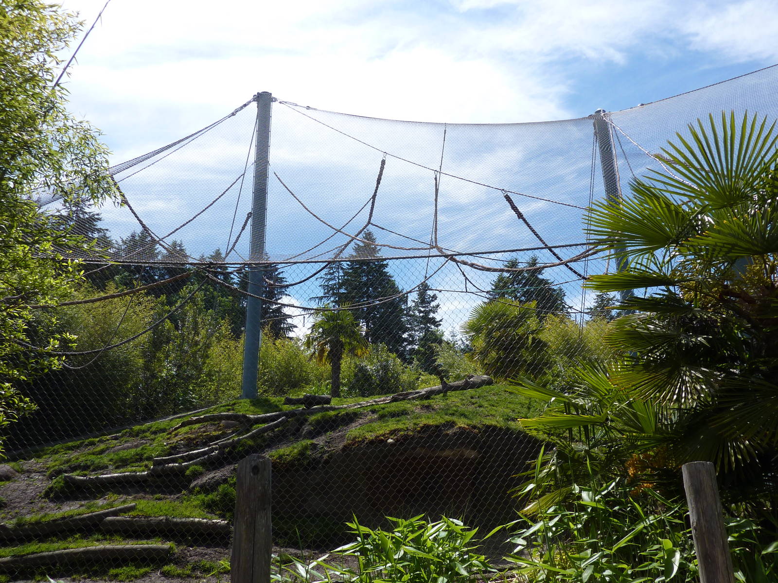 Asian Forest Sanctuary - Rotation Exhibit