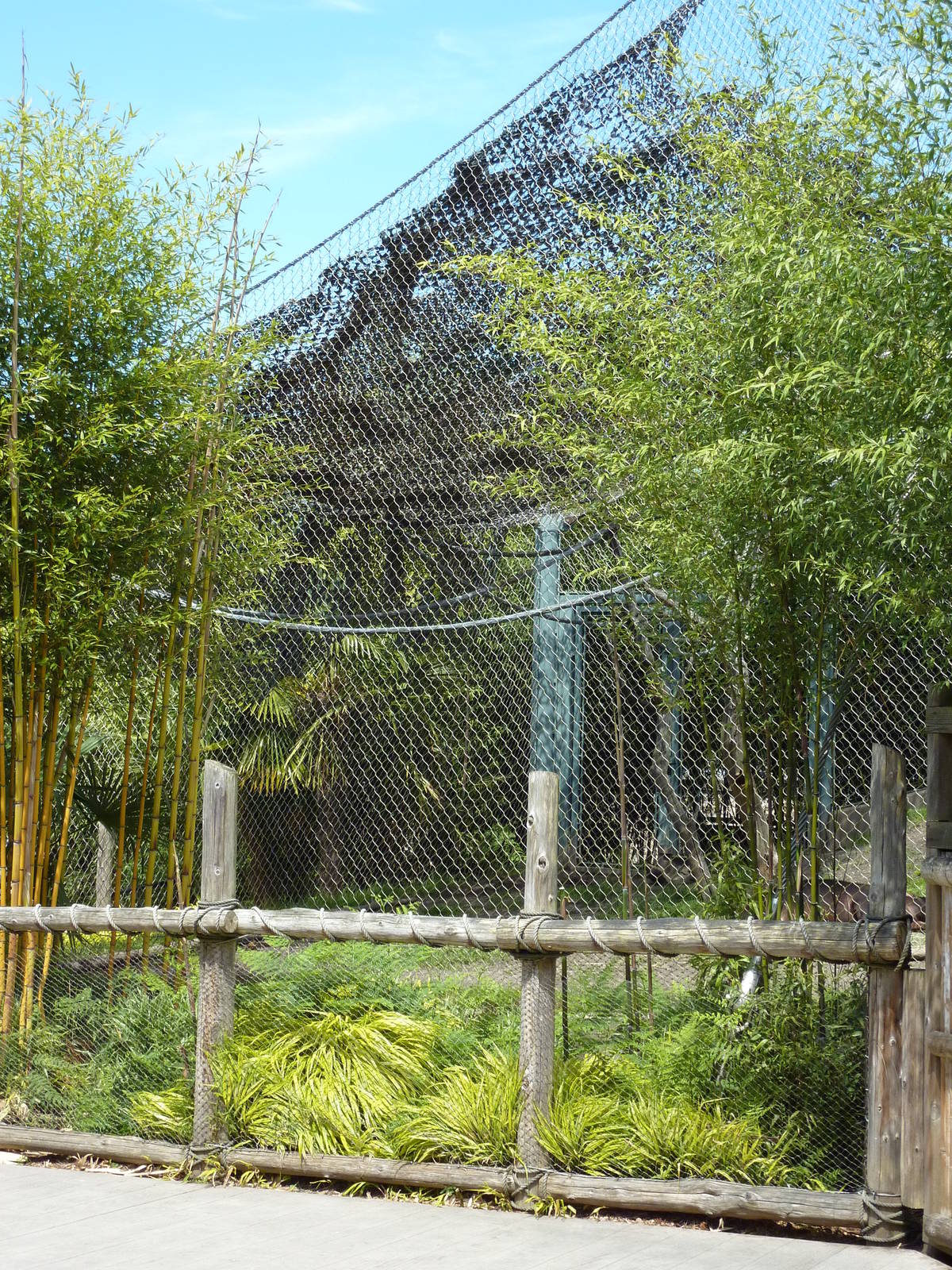 Asian Forest Sanctuary - Rotation Exhibit