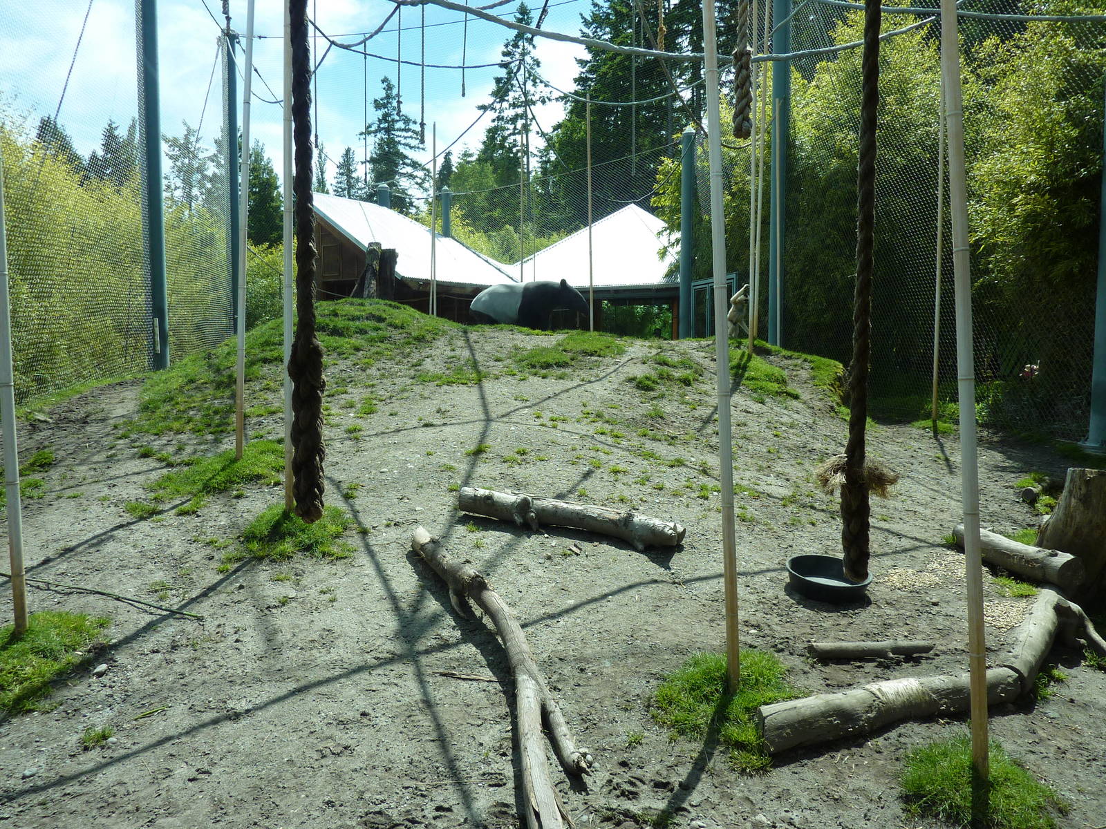 Asian Forest Sanctuary - Rotation Exhibit