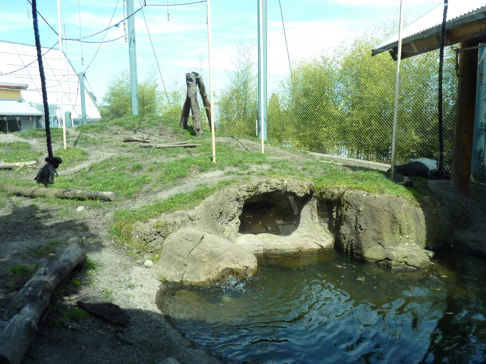 Asian Forest Sanctuary - Rotation Exhibit
