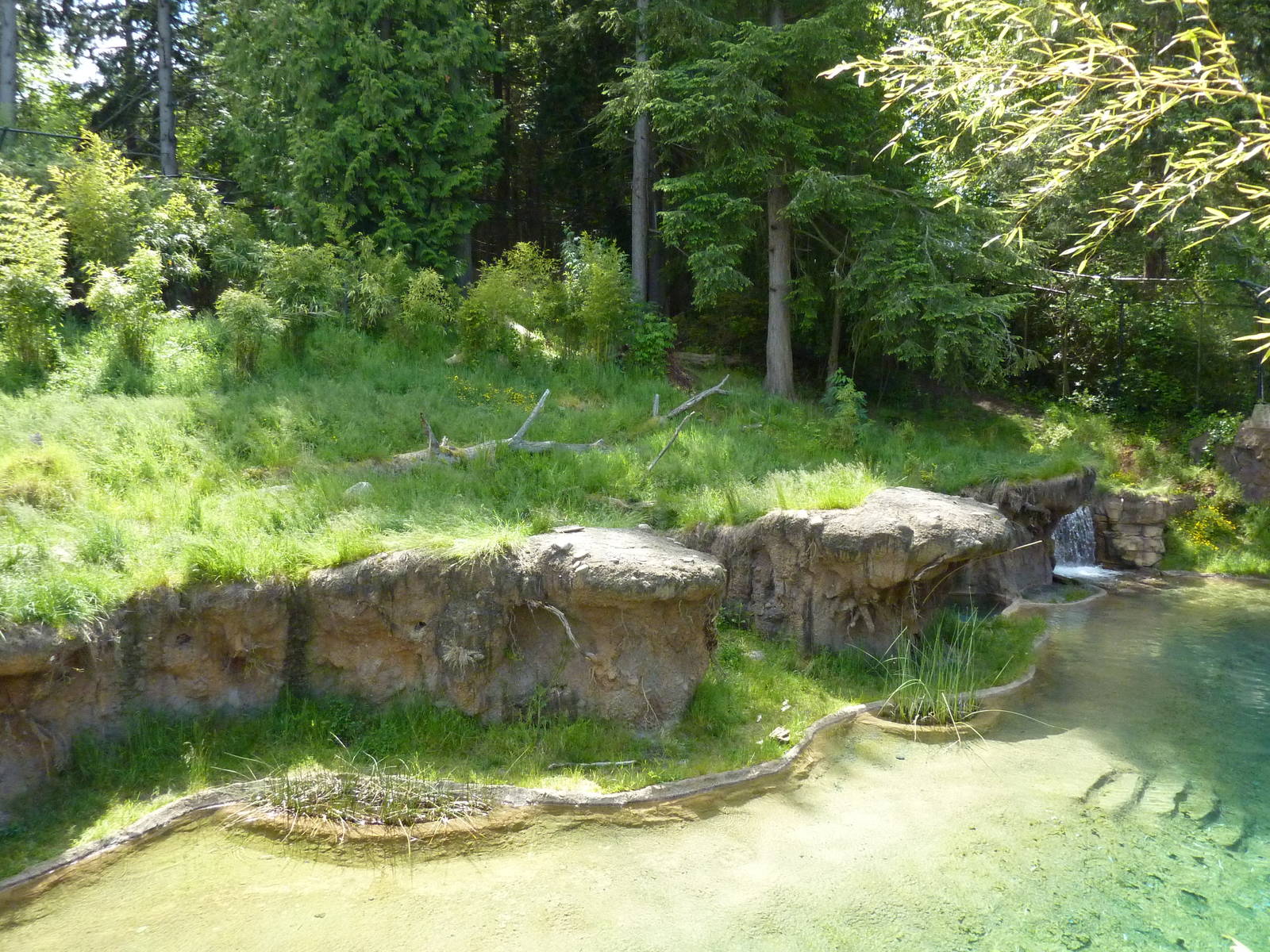 Asian Forest Sanctuary - Rotation Exhibit