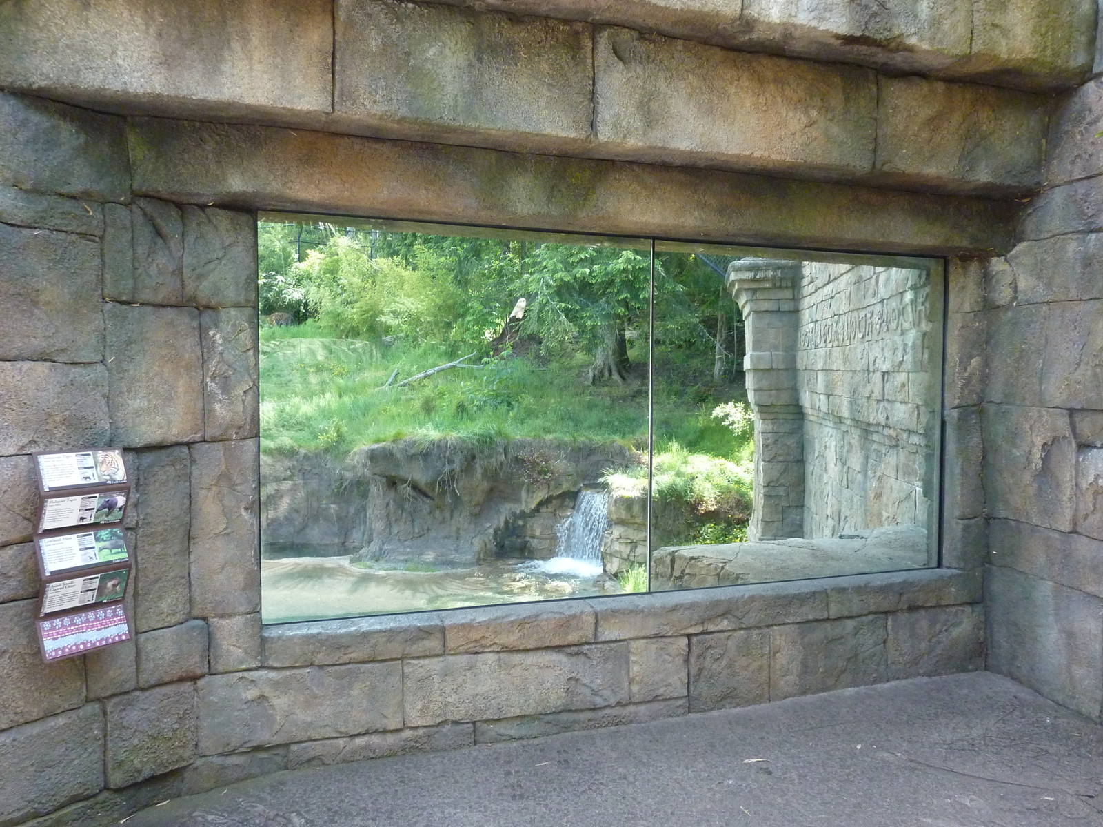 Asian Forest Sanctuary - Rotation Exhibit