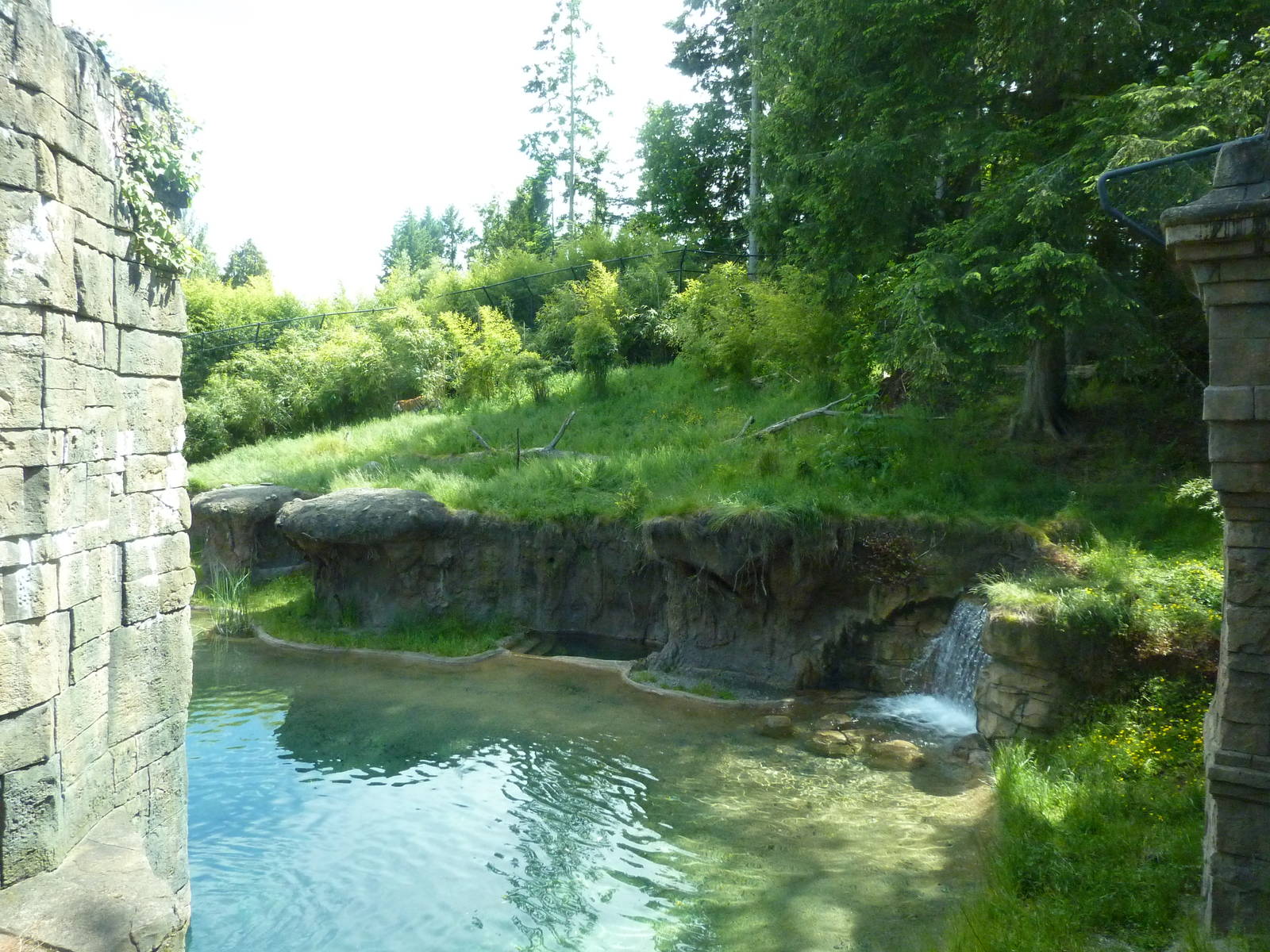 Asian Forest Sanctuary - Rotation Exhibit
