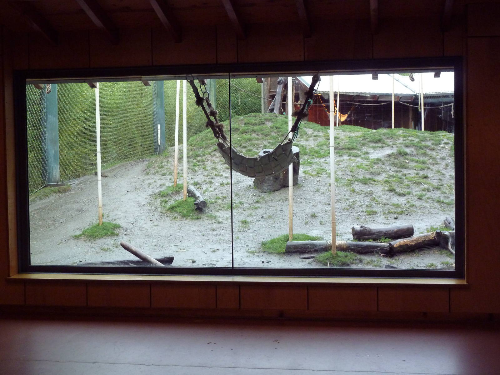 Asian Forest Sanctuary - Rotation Exhibit