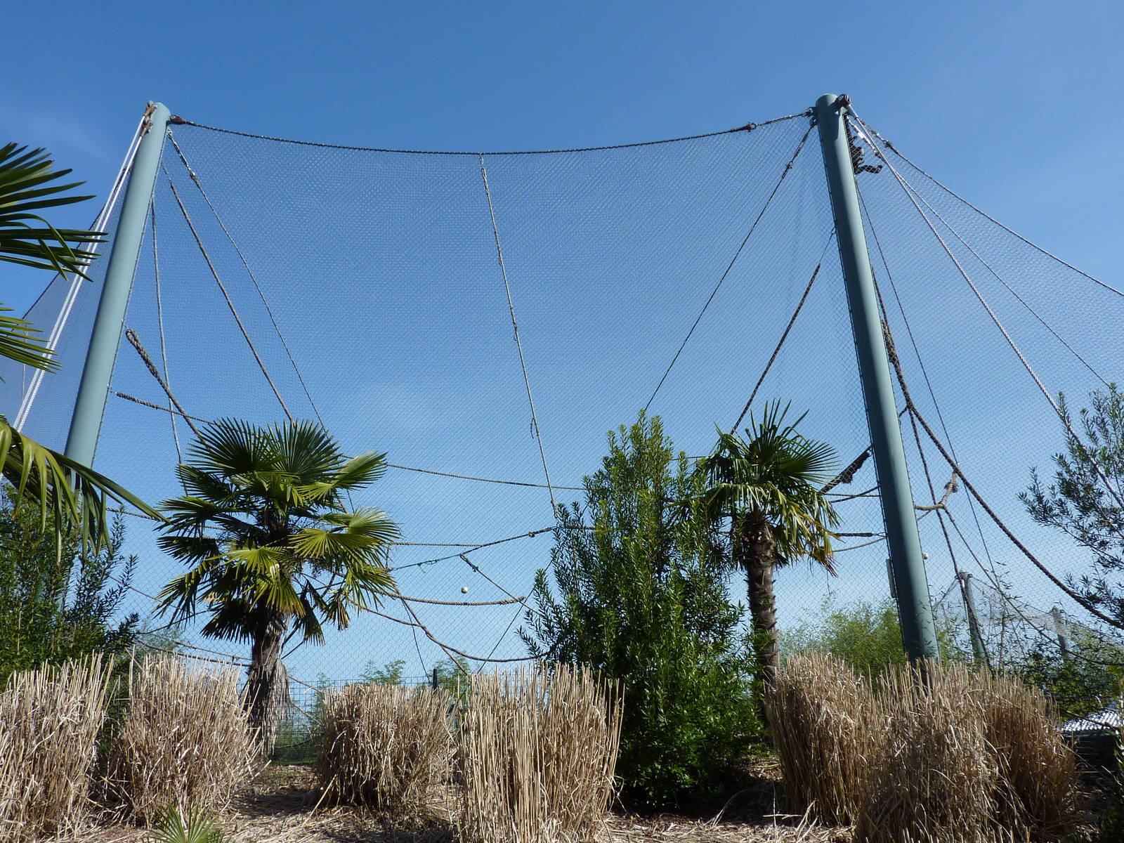 Asian Forest Sanctuary - Rotation Exhibit