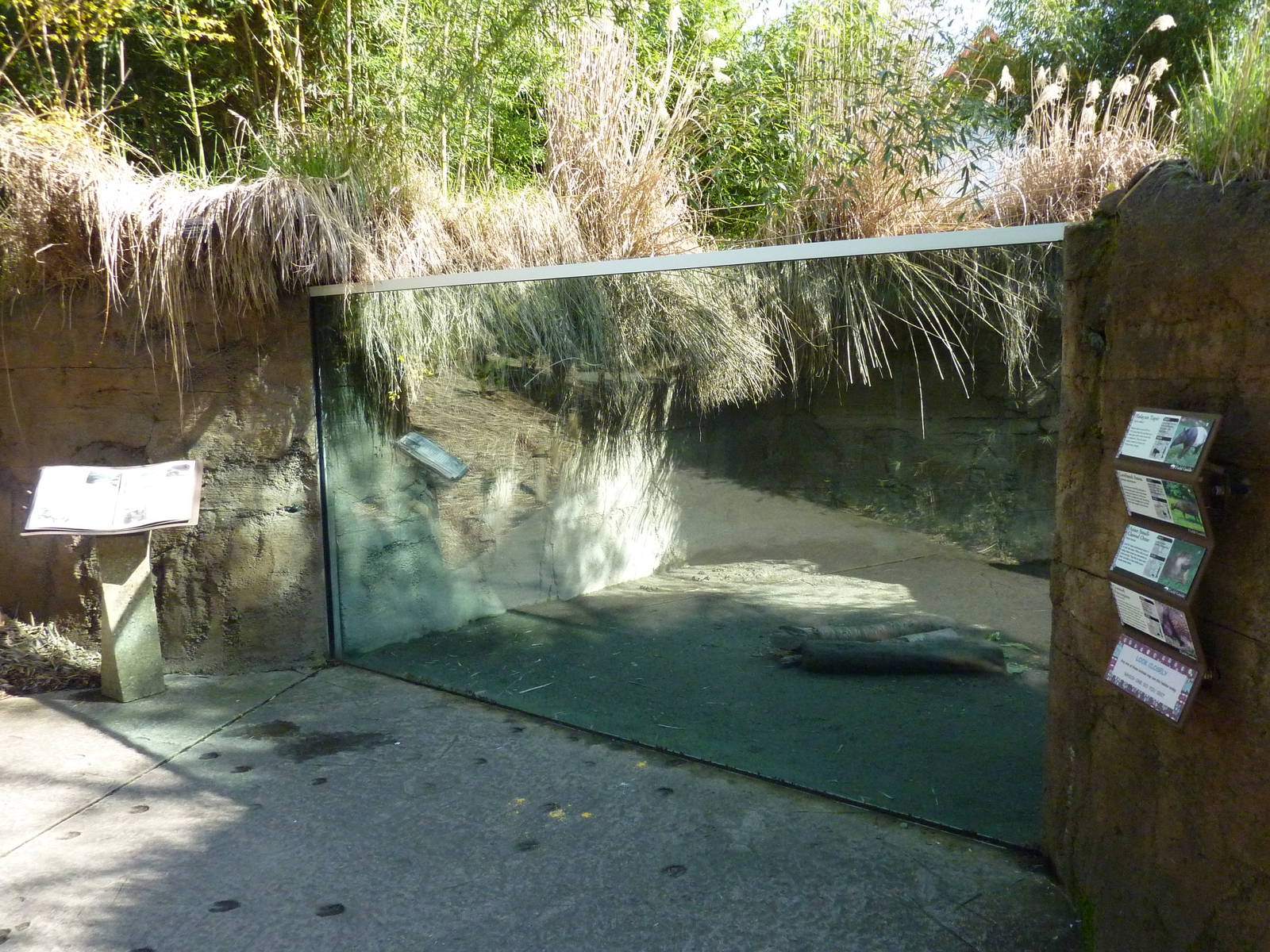 Asian Forest Sanctuary - Rotation Exhibit