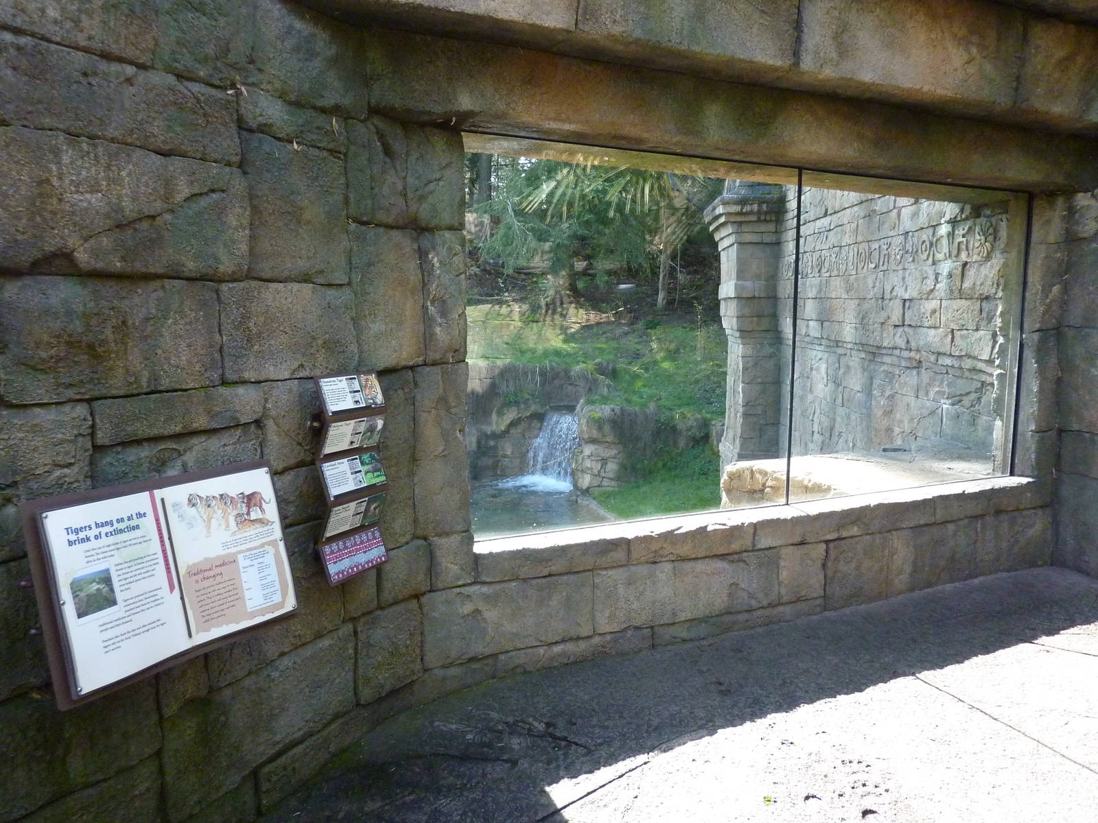 Asian Forest Sanctuary - Rotation Exhibit