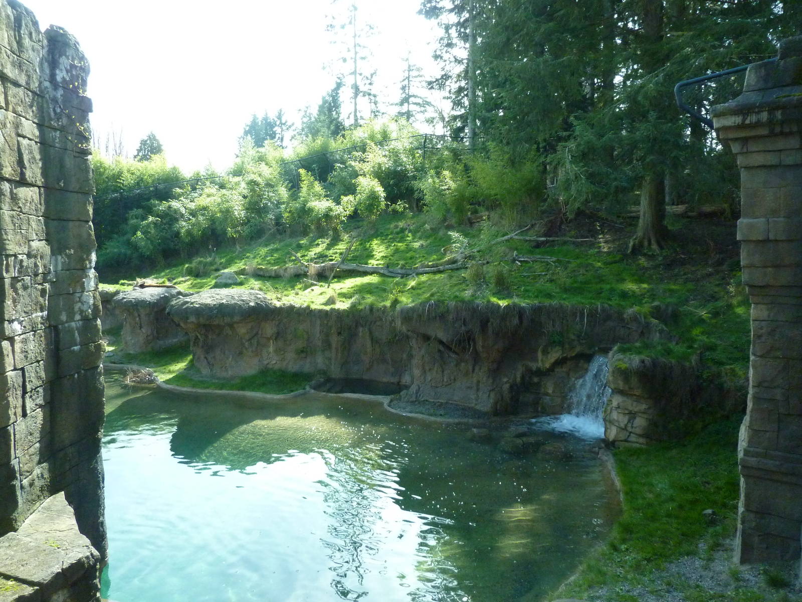 Asian Forest Sanctuary - Rotation Exhibit