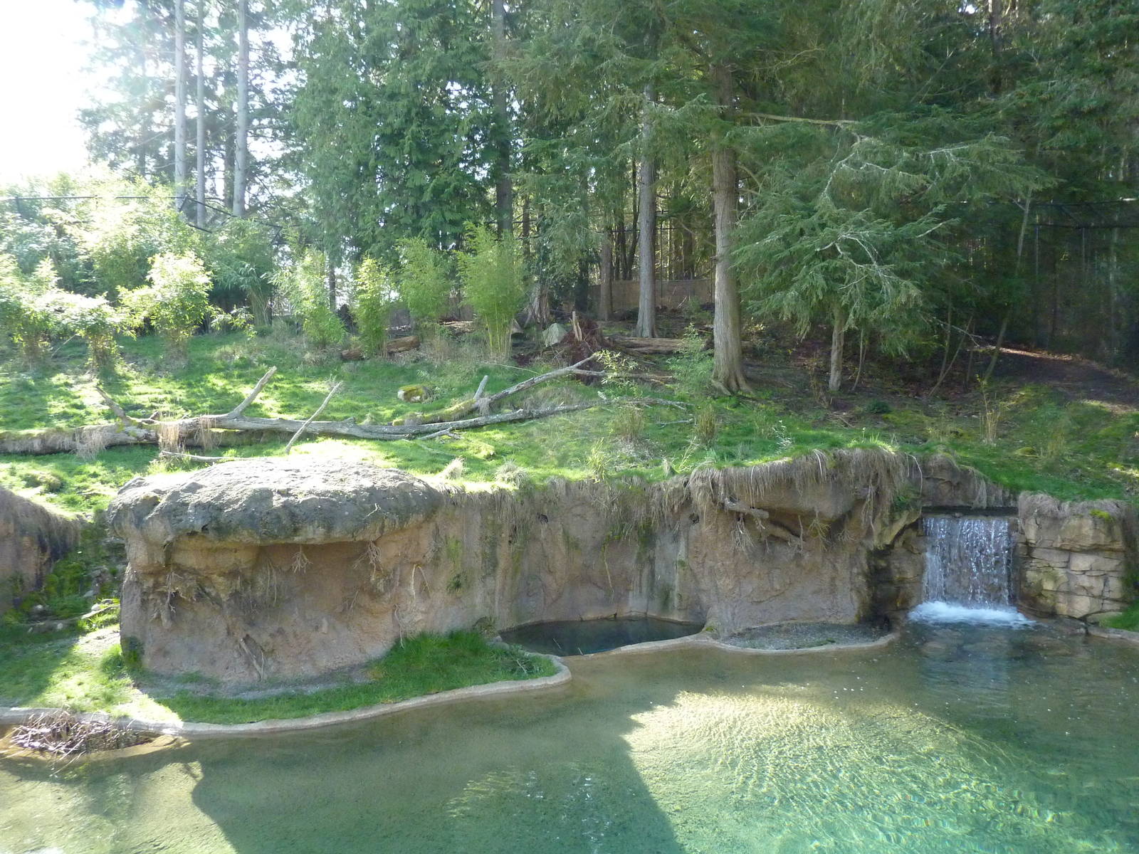 Asian Forest Sanctuary - Rotation Exhibit