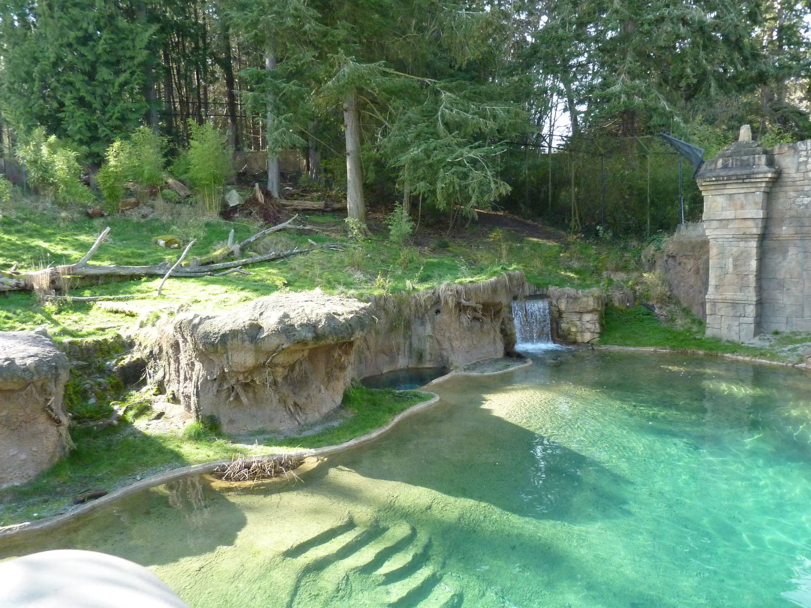 Asian Forest Sanctuary - Rotation Exhibit