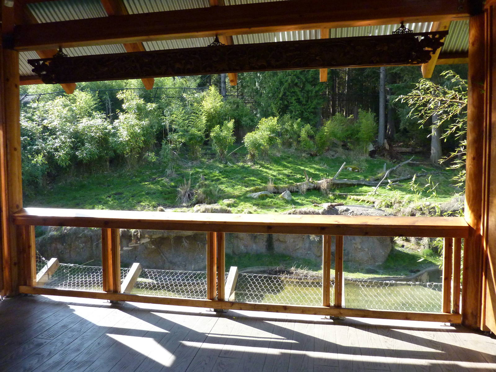 Asian Forest Sanctuary - Rotation Exhibit