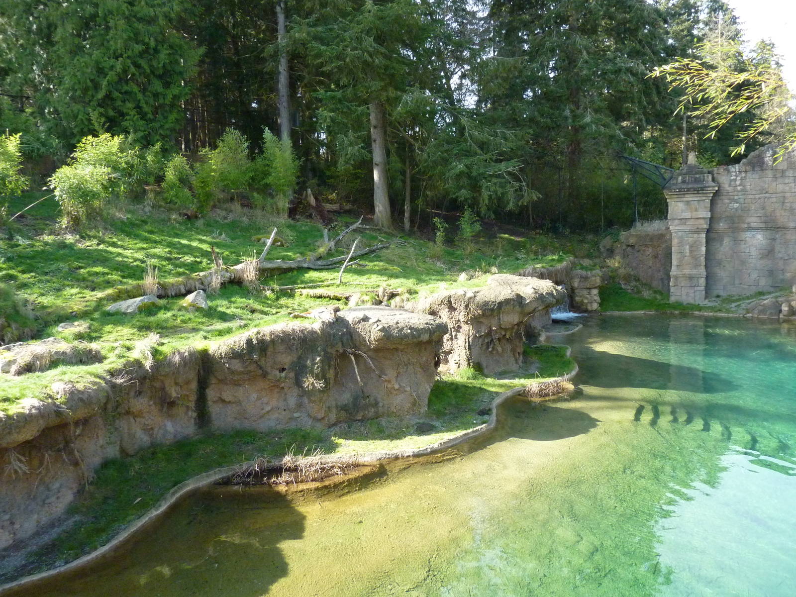 Asian Forest Sanctuary - Rotation Exhibit