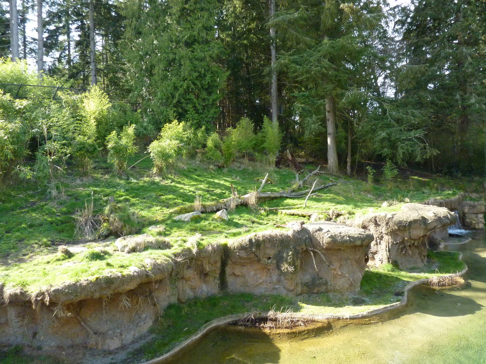Asian Forest Sanctuary - Rotation Exhibit