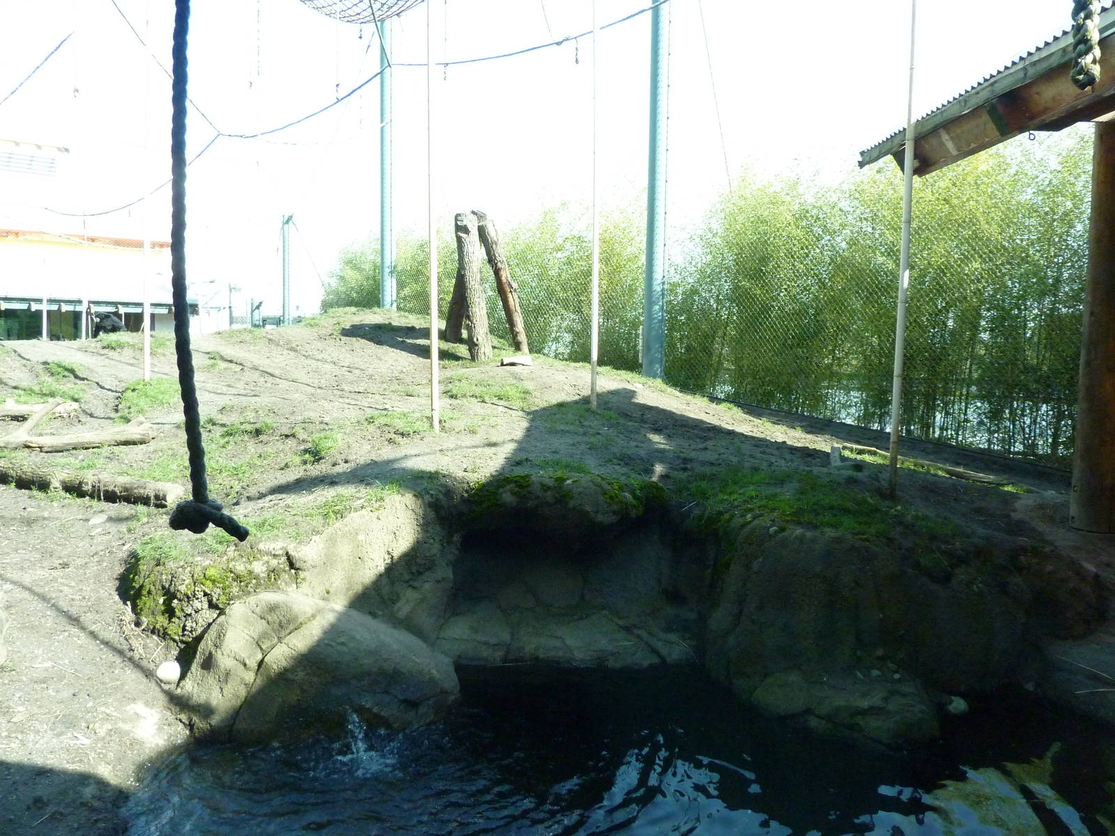 Asian Forest Sanctuary - Rotation Exhibit