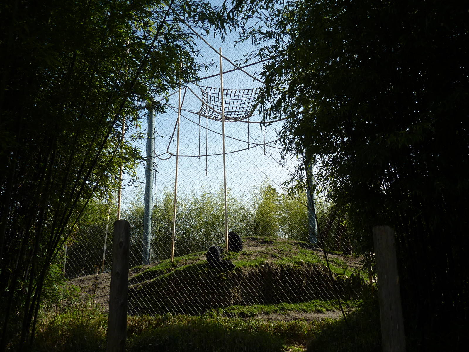 Asian Forest Sanctuary - Rotation Exhibit