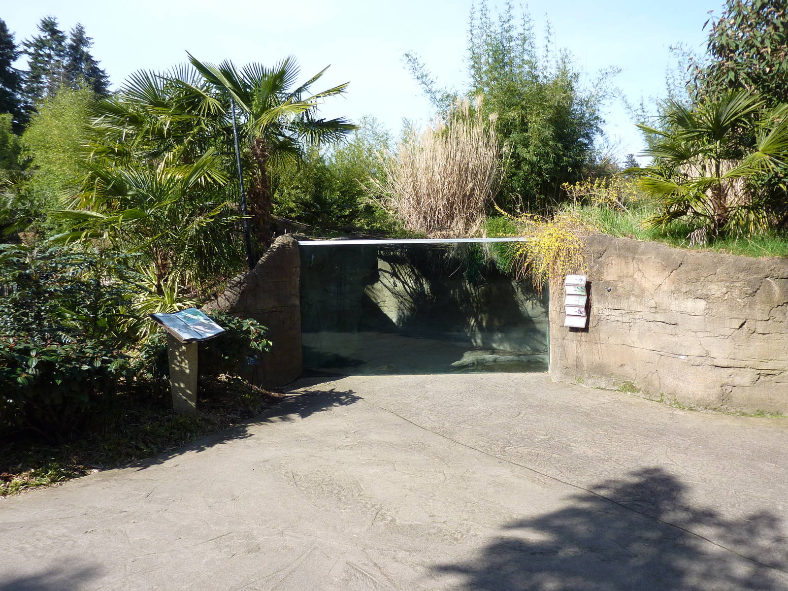 Asian Forest Sanctuary - Rotation Exhibit