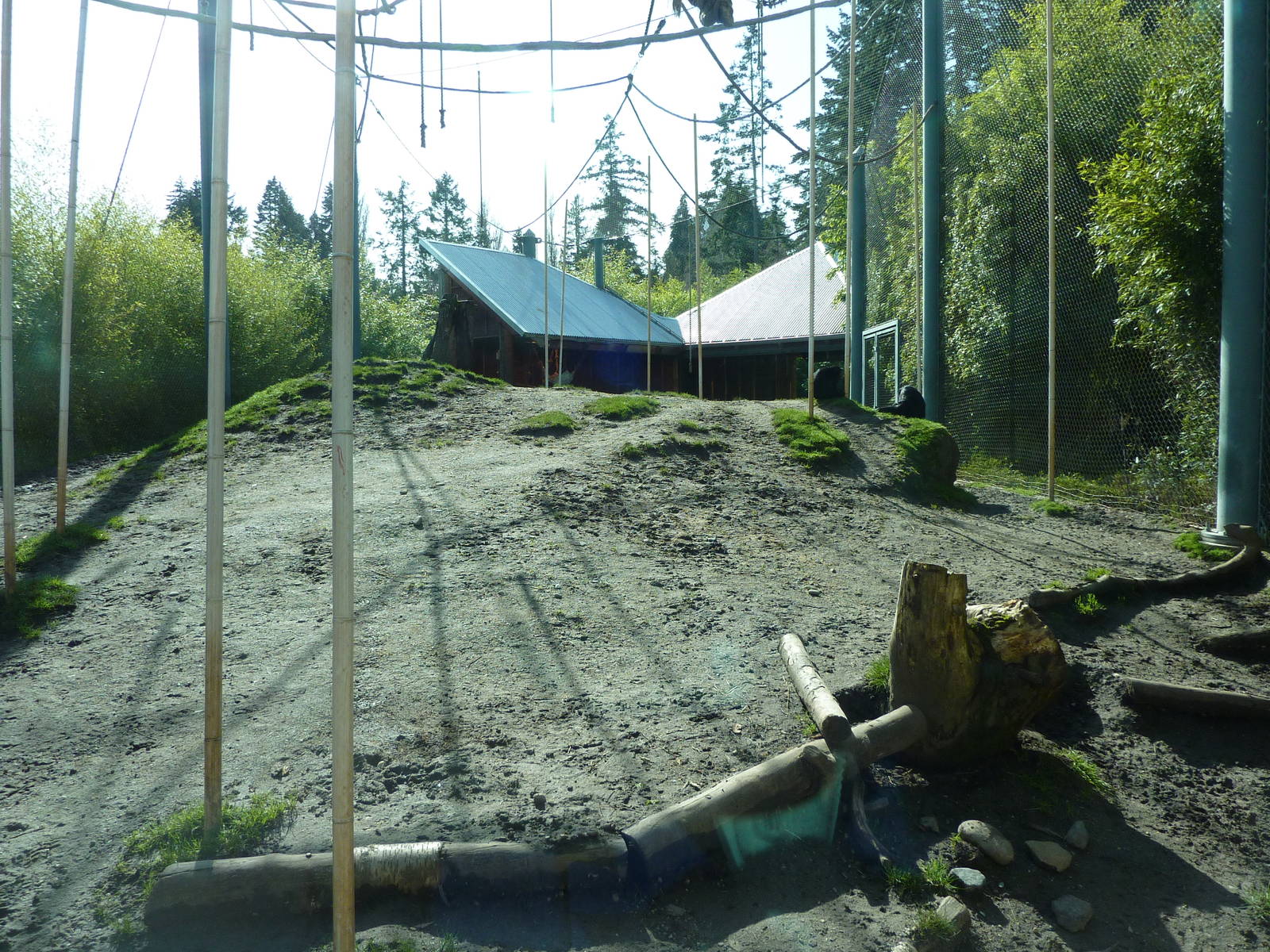 Asian Forest Sanctuary - Rotation Exhibit