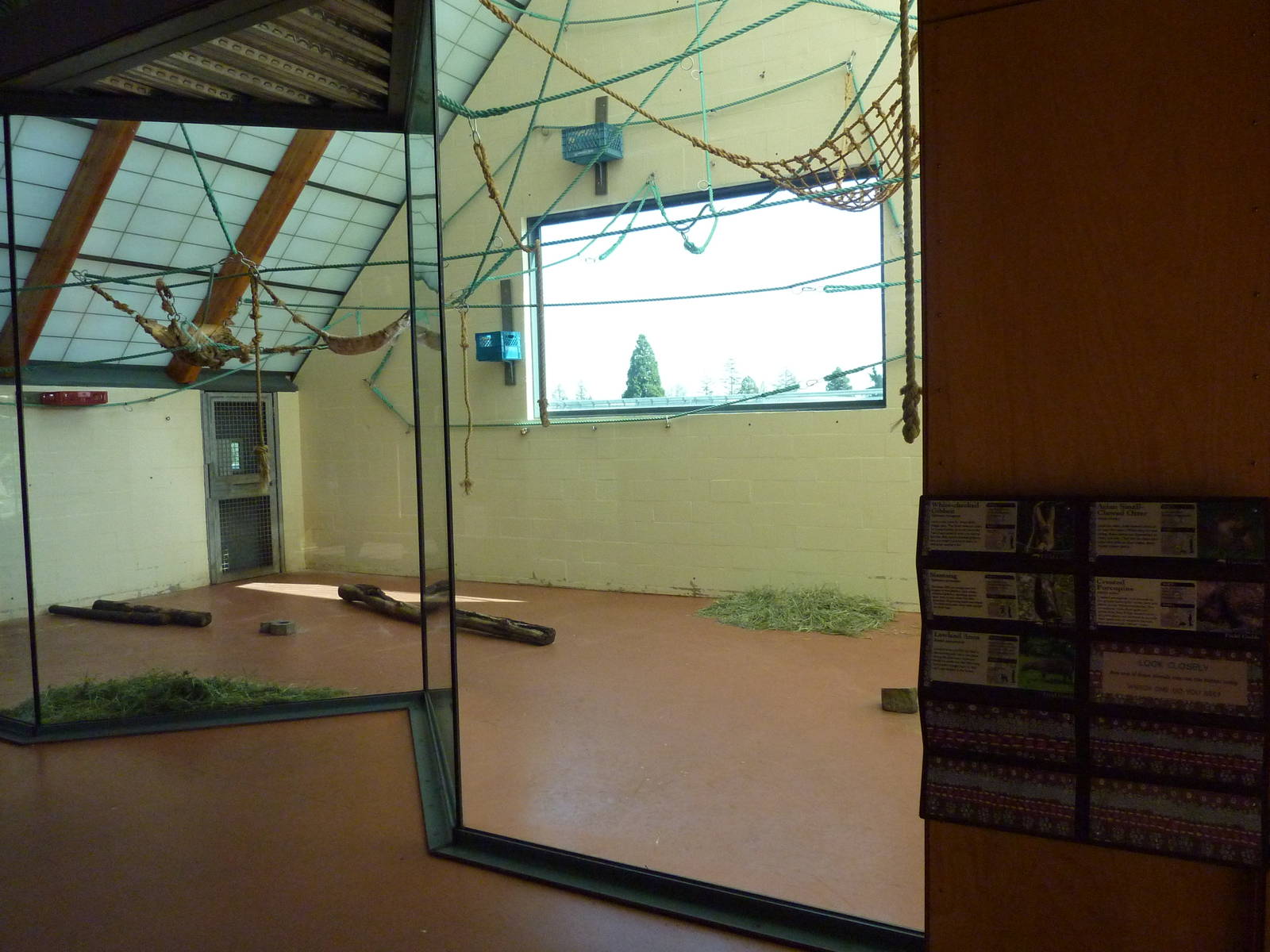 Asian Forest Sanctuary - Rotation Exhibit