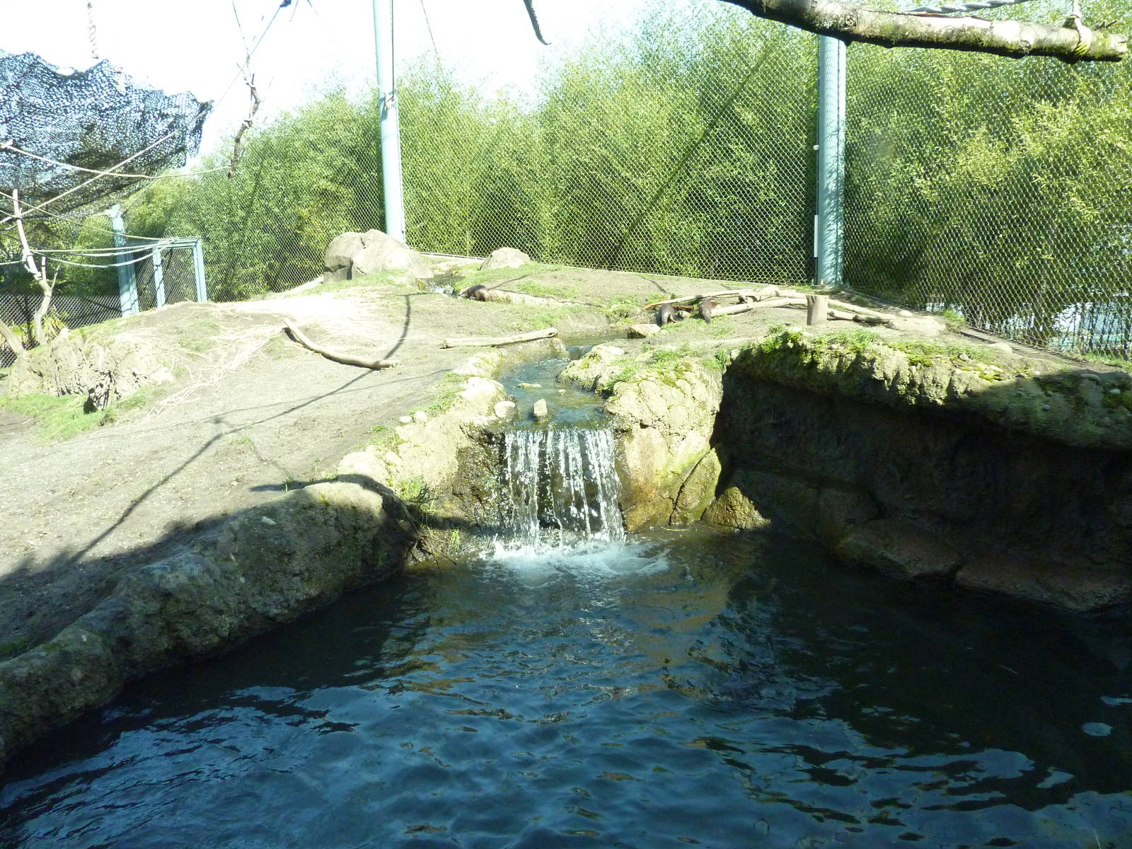 Asian Forest Sanctuary - Rotation Exhibit