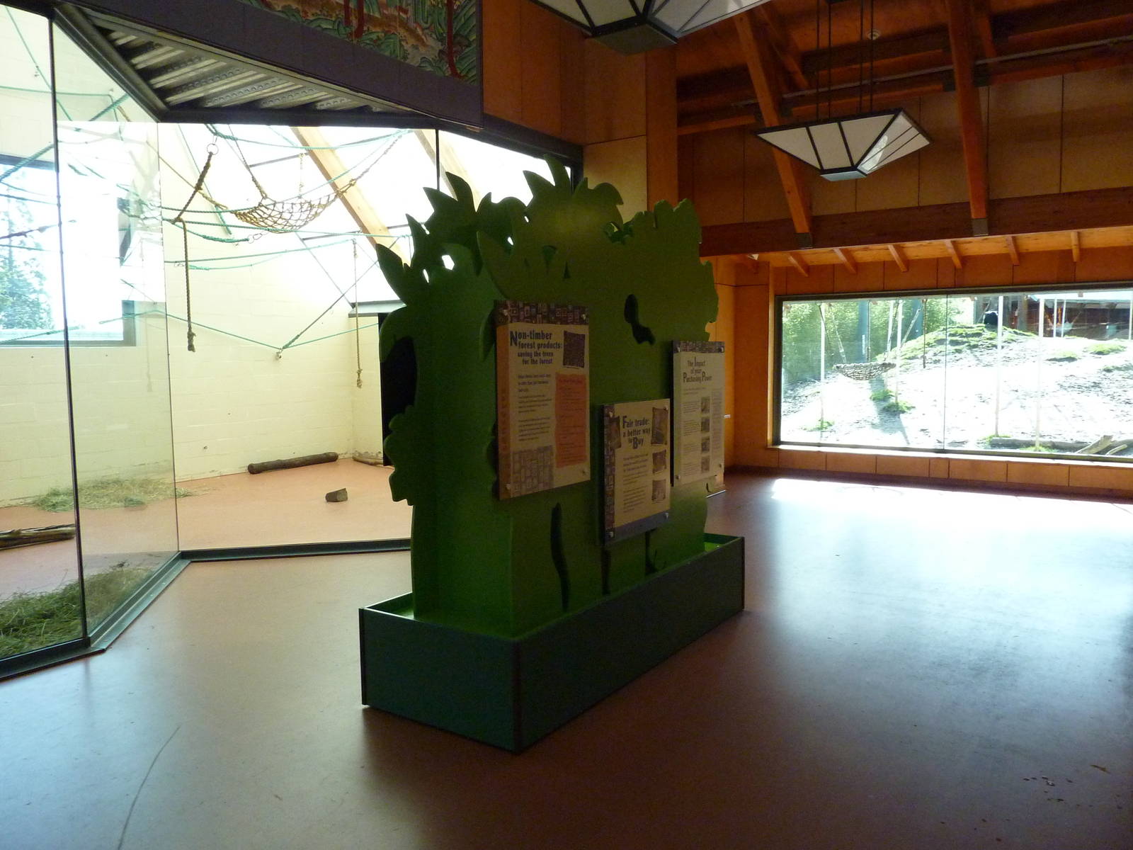 Asian Forest Sanctuary - Rotation Exhibit