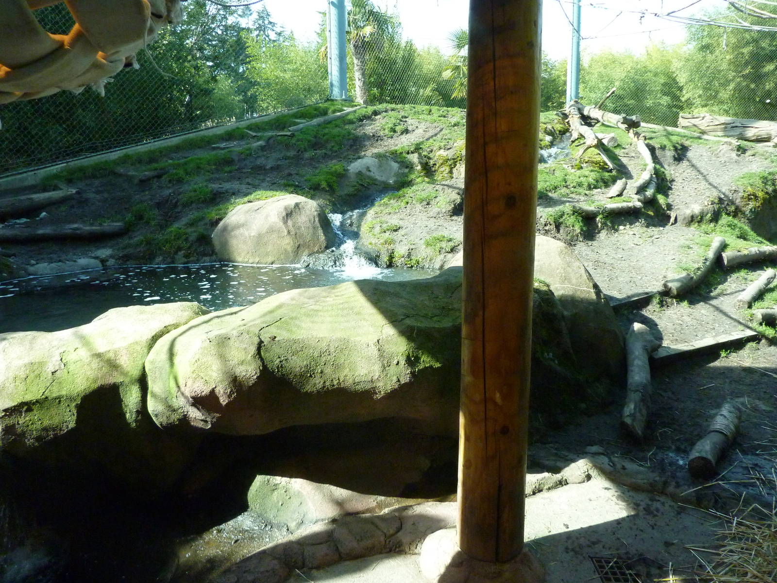 Asian Forest Sanctuary - Rotation Exhibit