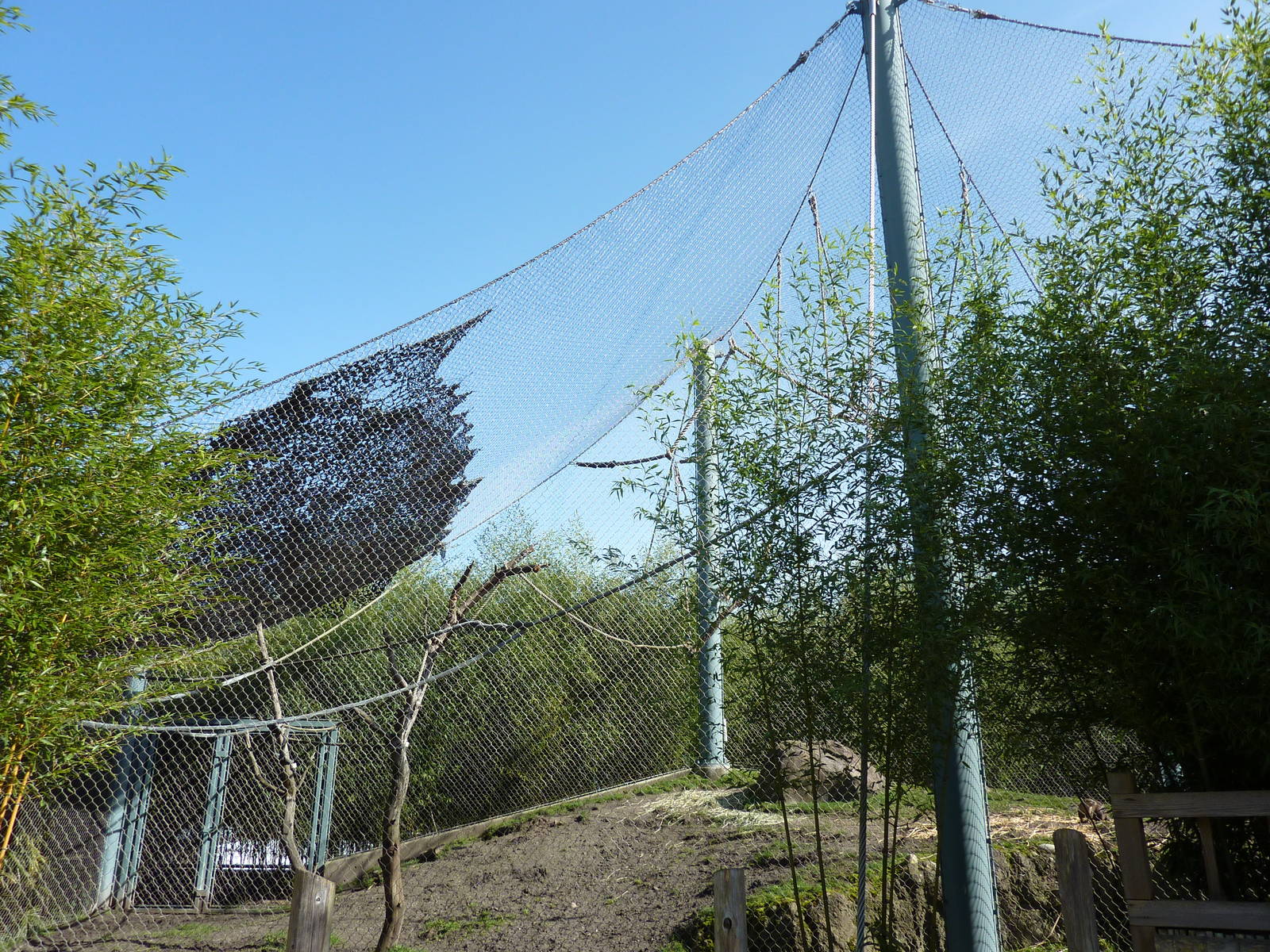 Asian Forest Sanctuary - Rotation Exhibit