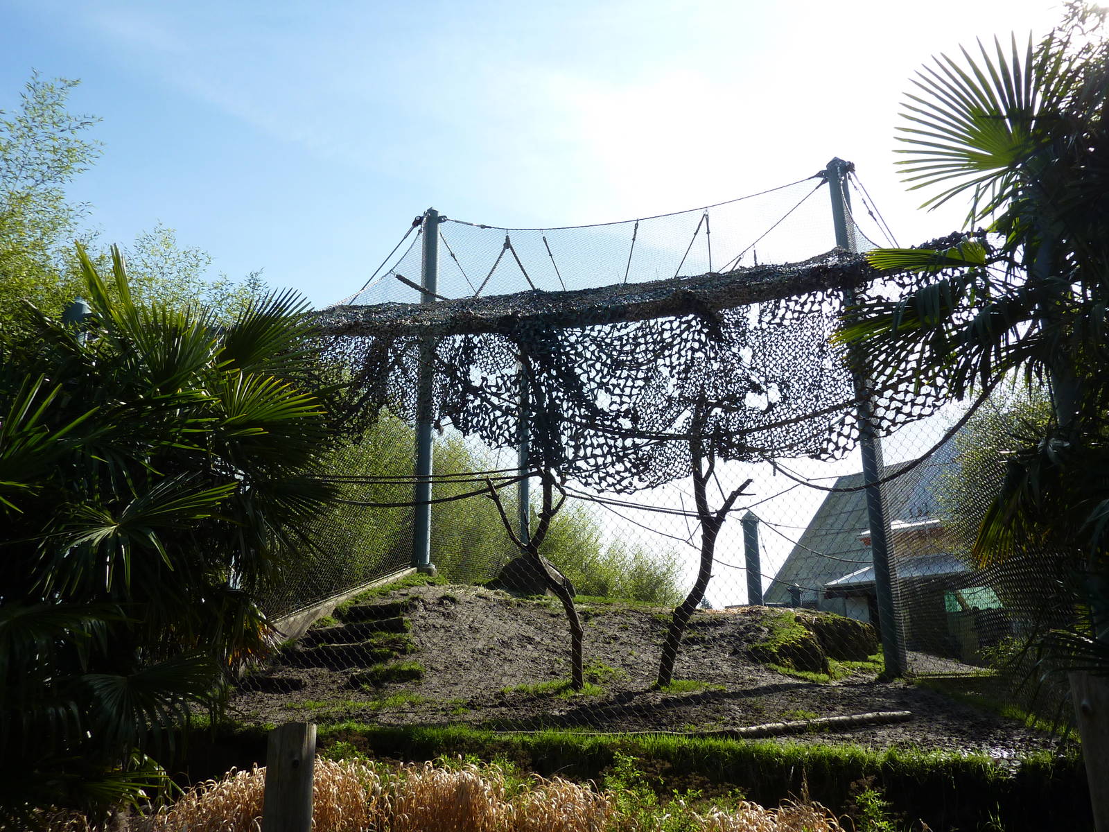 Asian Forest Sanctuary - Rotation Exhibit