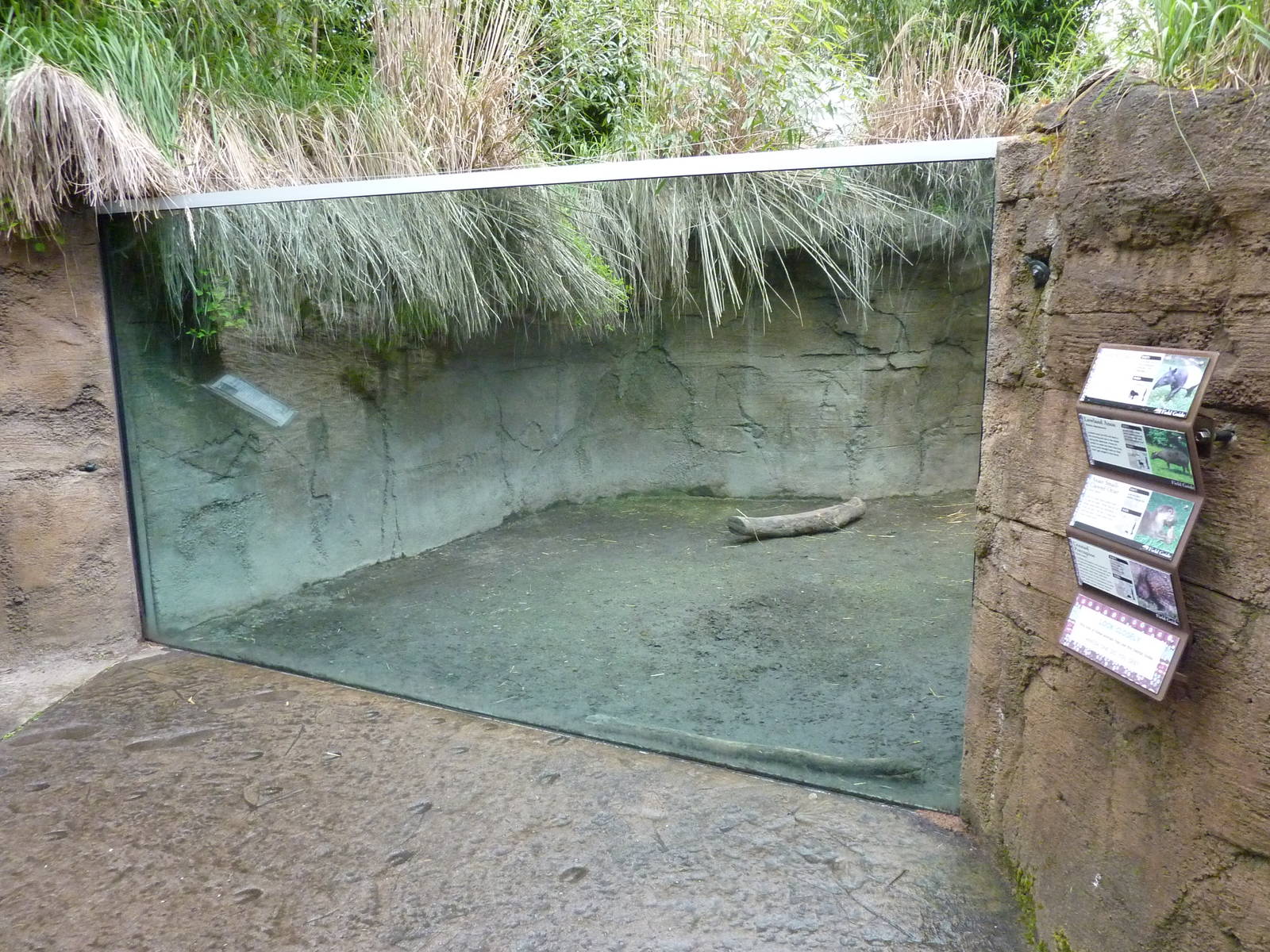 Asian Forest Sanctuary - Rotation Exhibit