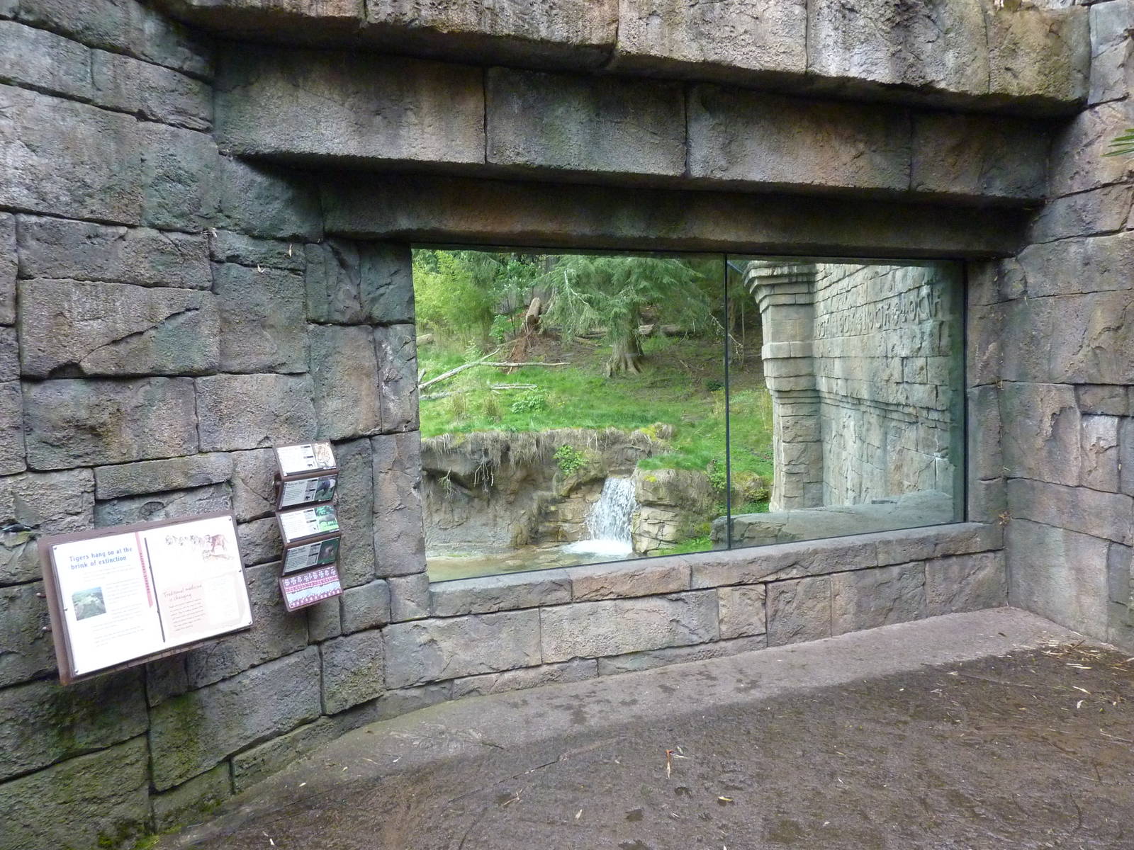 Asian Forest Sanctuary - Rotation Exhibit