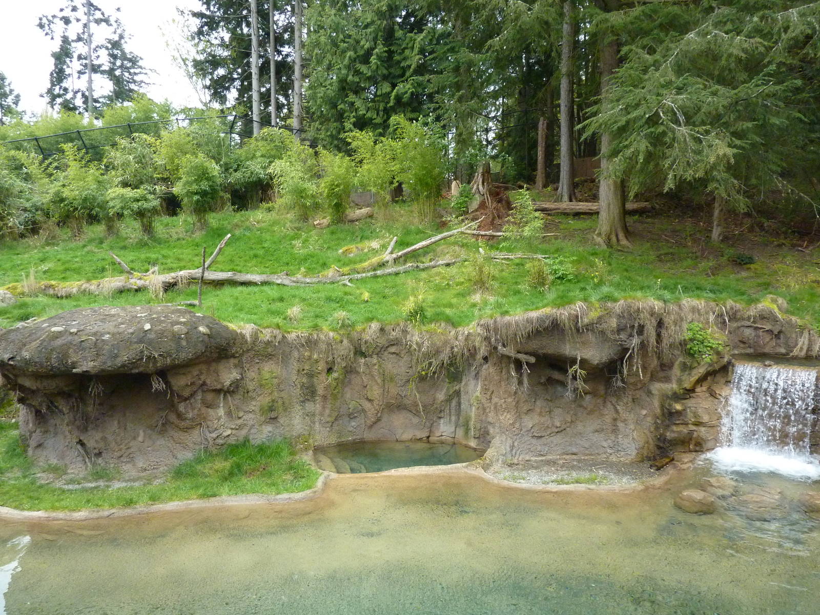 Asian Forest Sanctuary - Rotation Exhibit