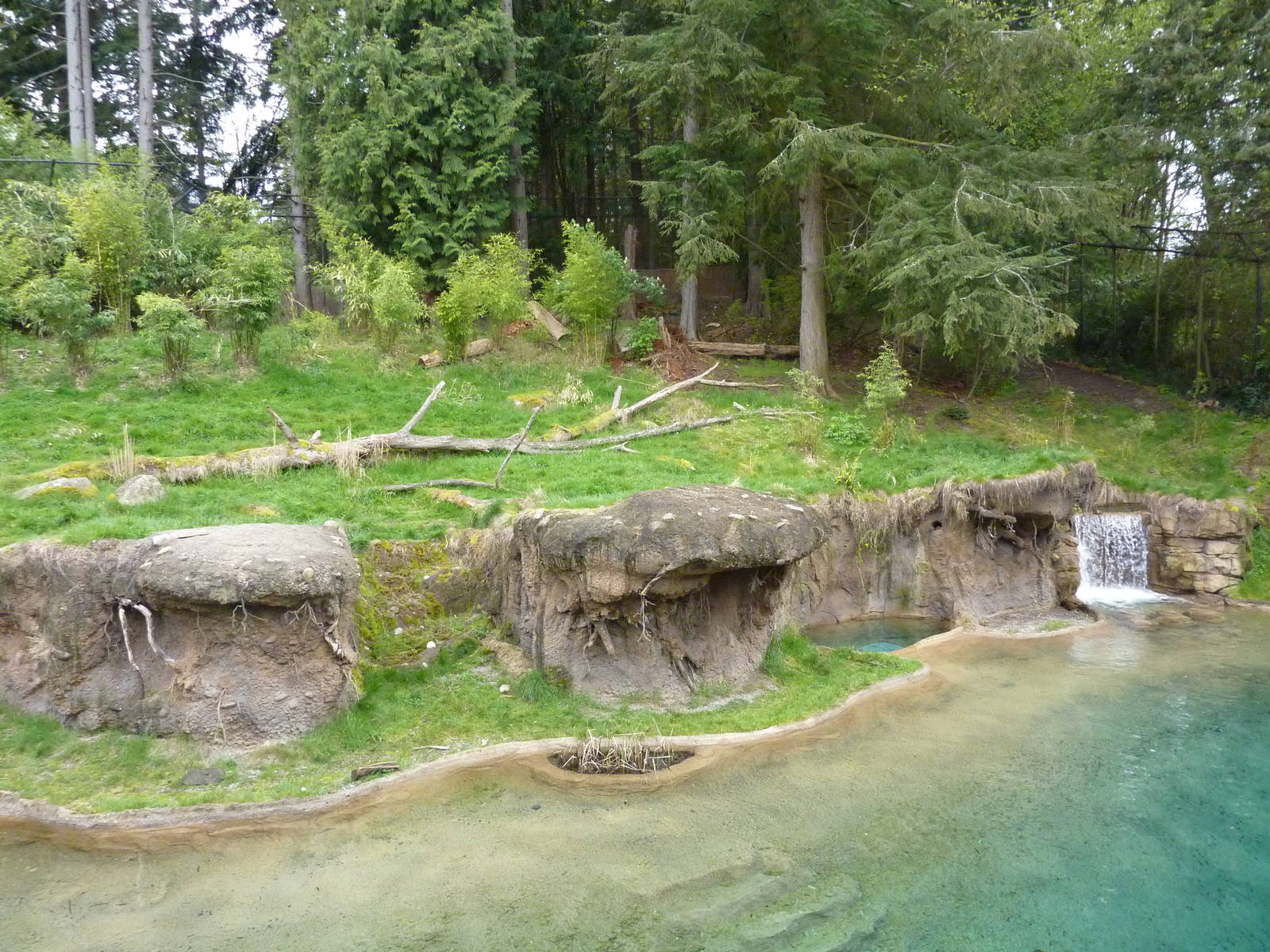 Asian Forest Sanctuary - Rotation Exhibit