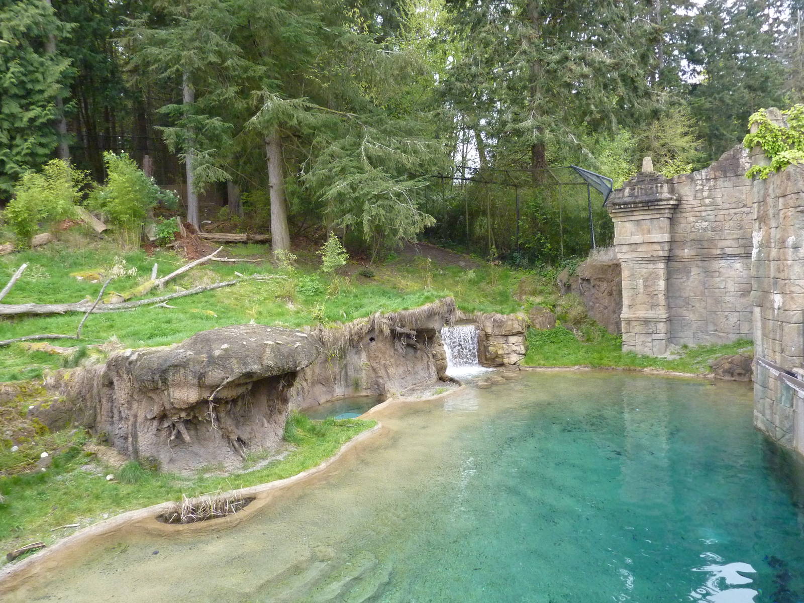 Asian Forest Sanctuary - Rotation Exhibit