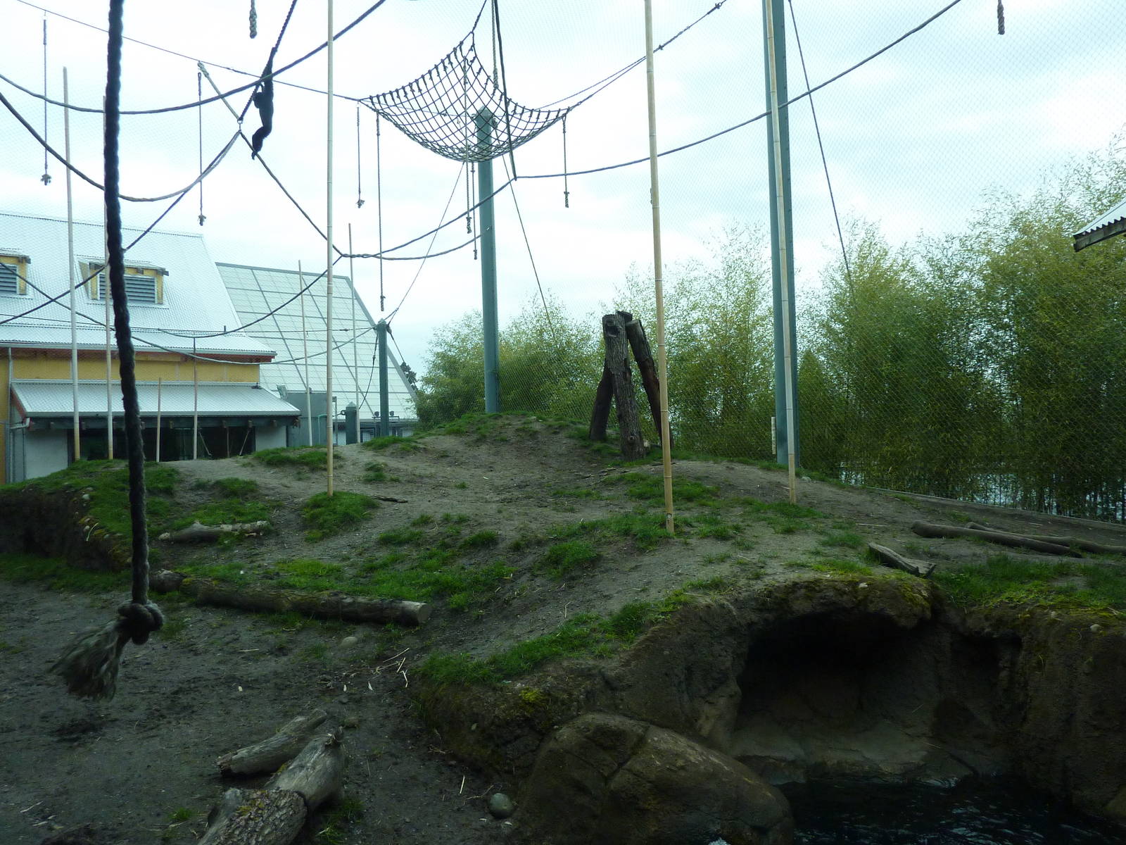 Asian Forest Sanctuary - Rotation Exhibit