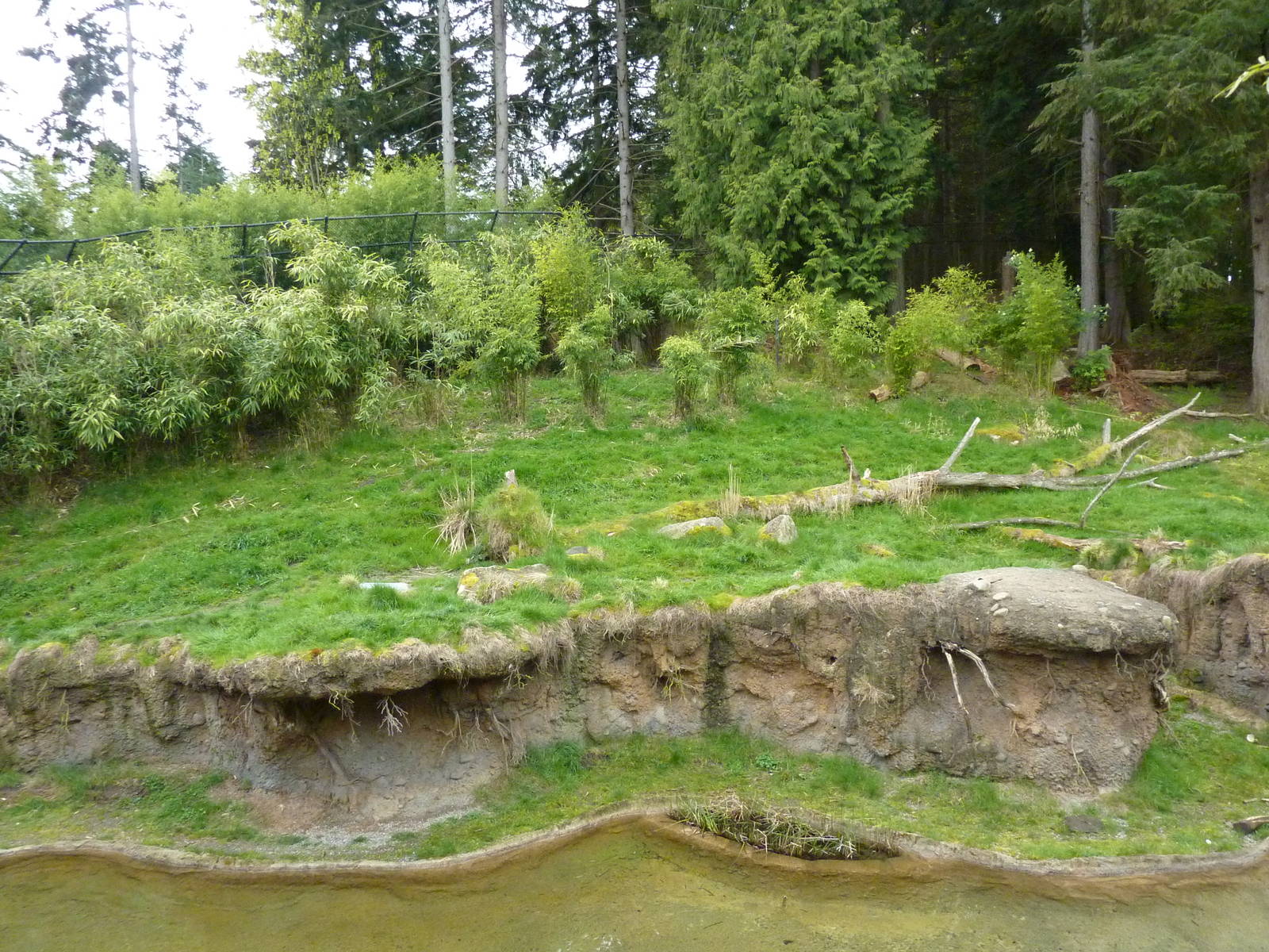 Asian Forest Sanctuary - Rotation Exhibit
